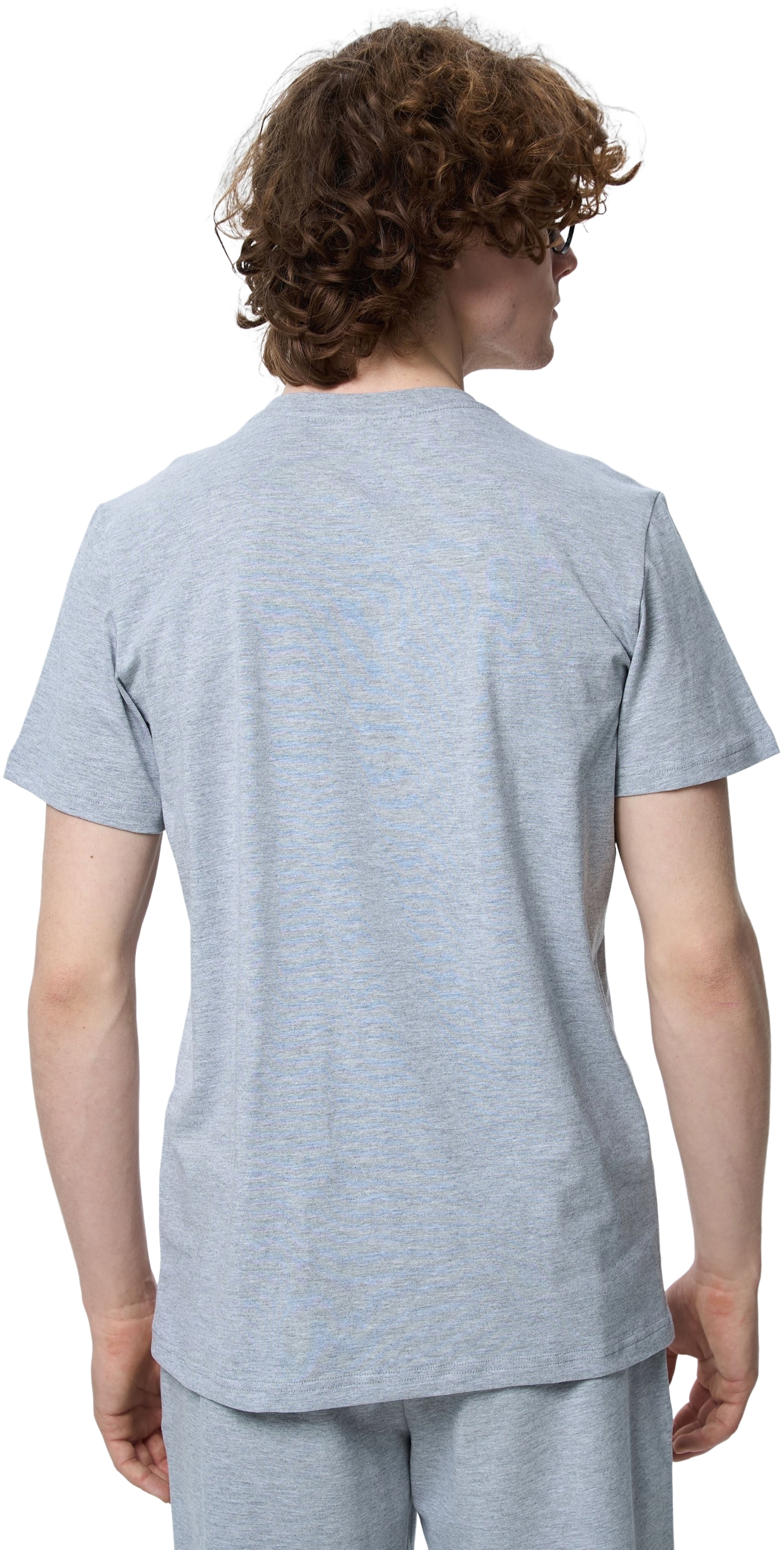 Футболка бавовняна чоловіча Roza 210135 5XL сірафото