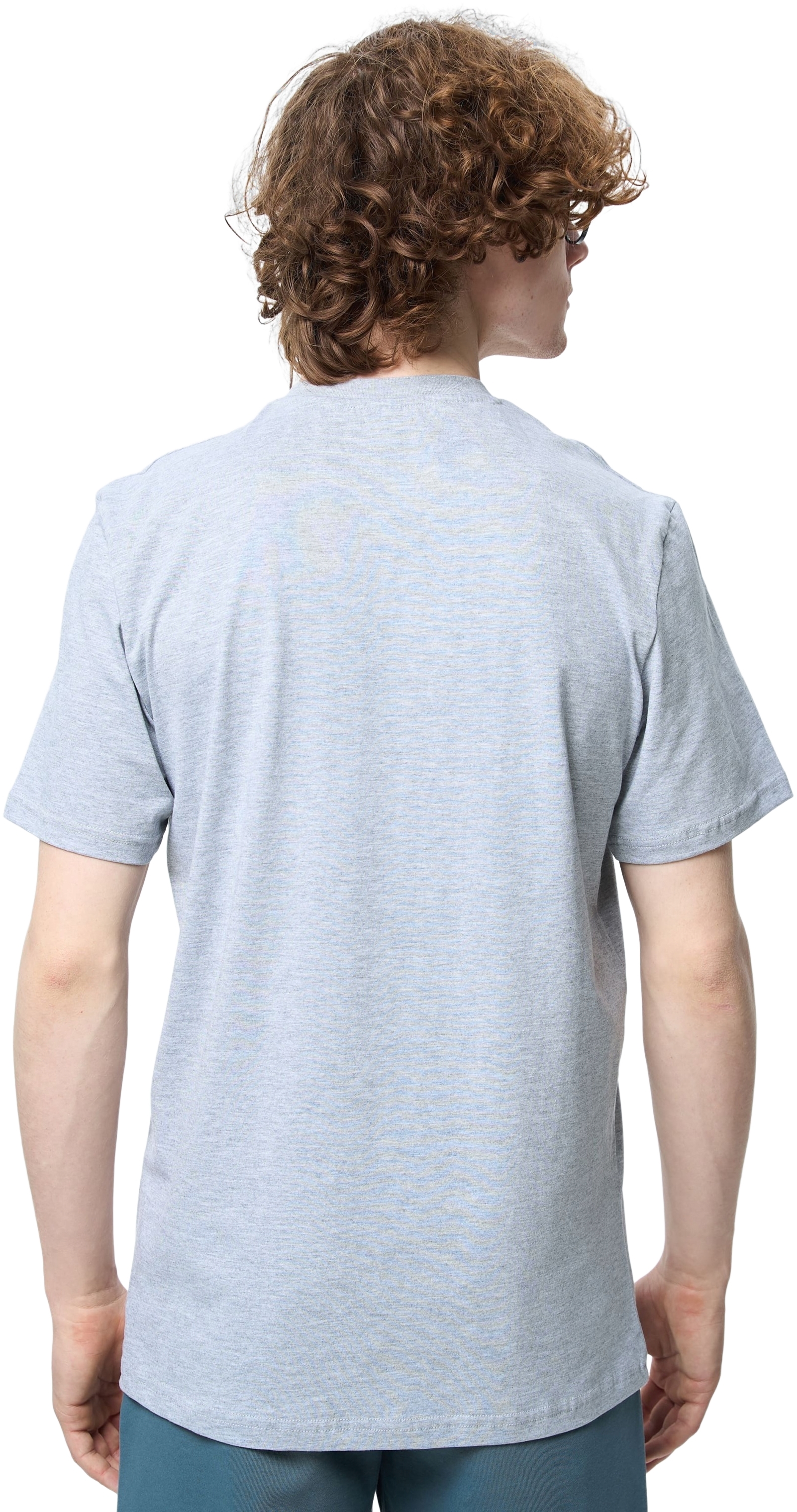 Футболка бавовняна чоловіча Roza 231101 L сірафото