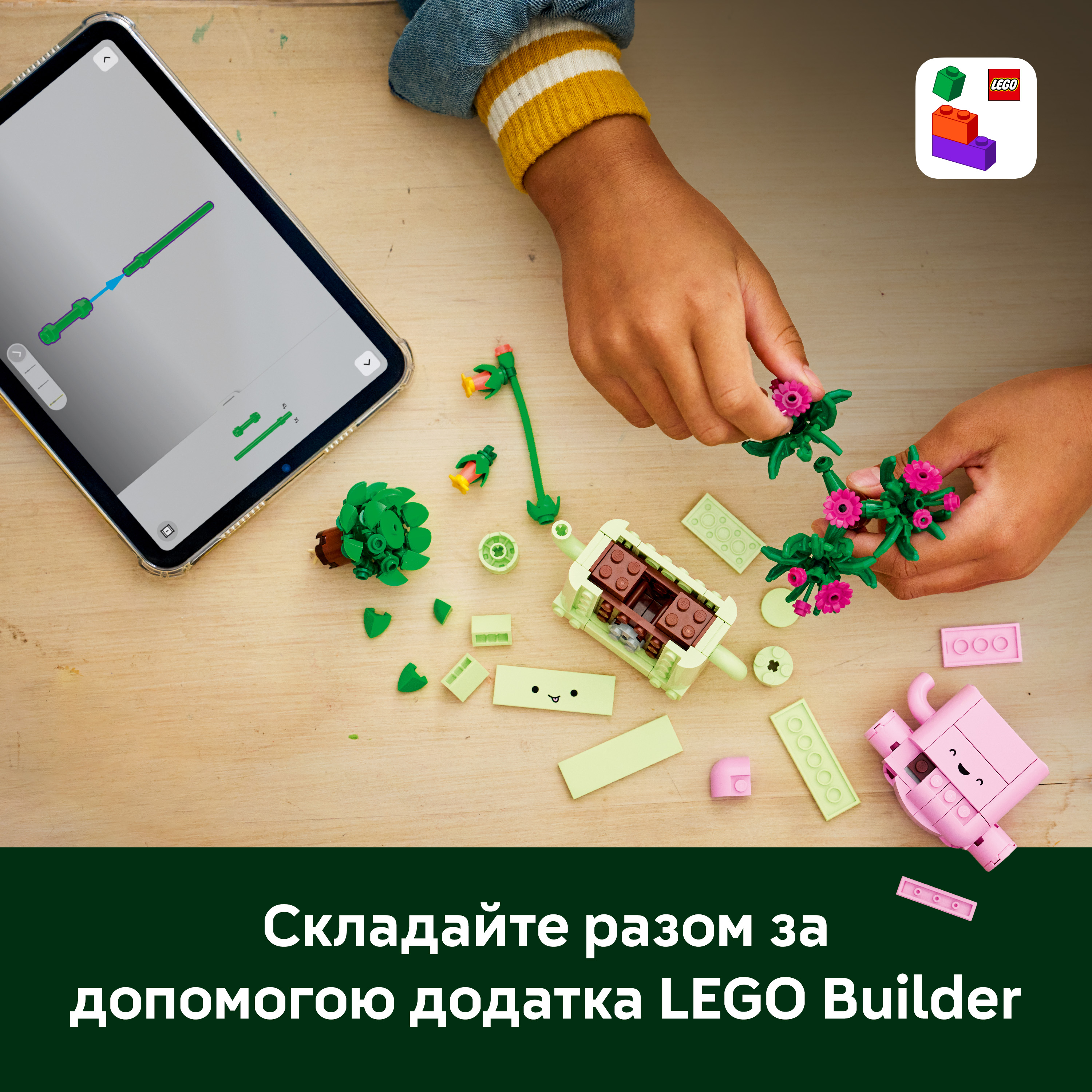 LEGO 11506 Botanicals Рослини, що гойдаютьсяфото