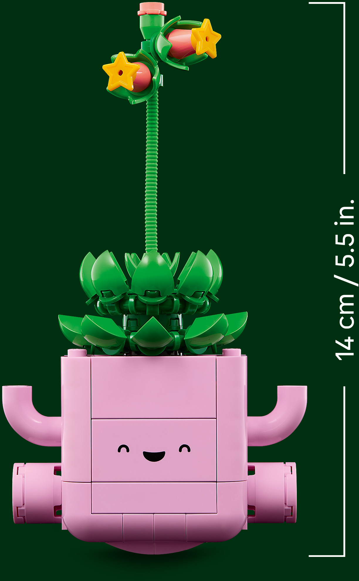 LEGO 11506 Botanicals Рослини, що гойдаютьсяфото