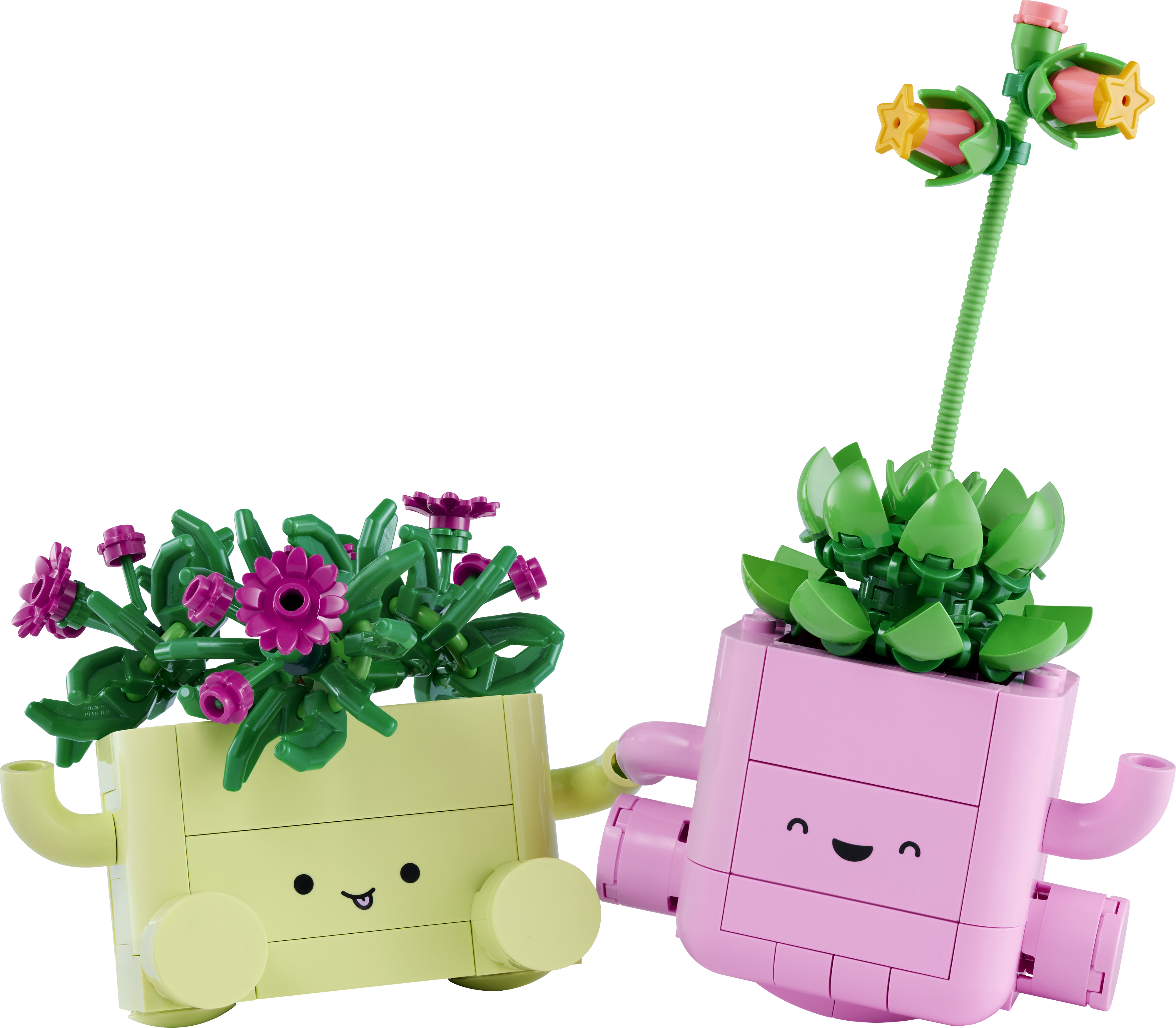 LEGO 11506 Botanicals Рослини, що гойдаютьсяфото