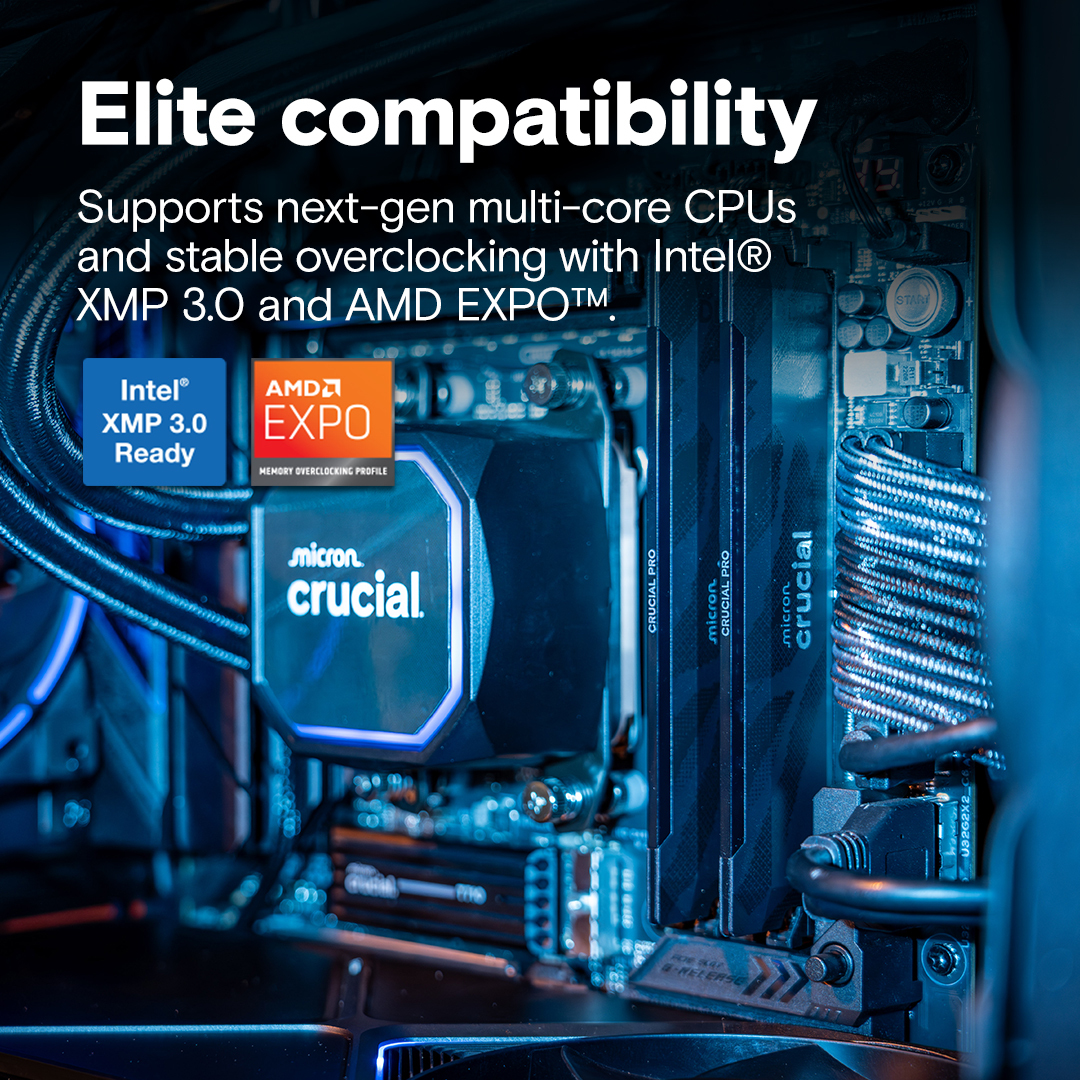 Память для ПК Crucial DDR5 16GB 6400 MHz Pro Black (CP16G64C32U5B) фото 