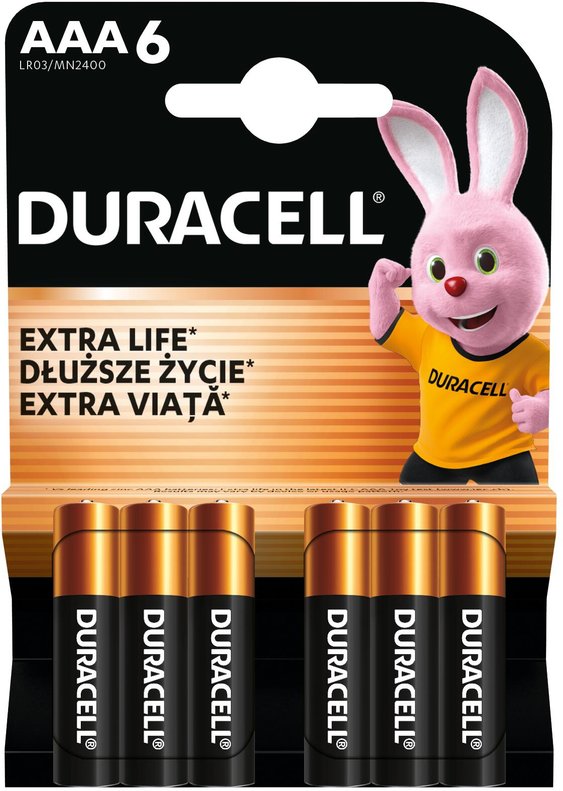 Батарейки Duracell Basic AAA алкалиновые 1.5V LR03 6 шт (5000394142404) фото 