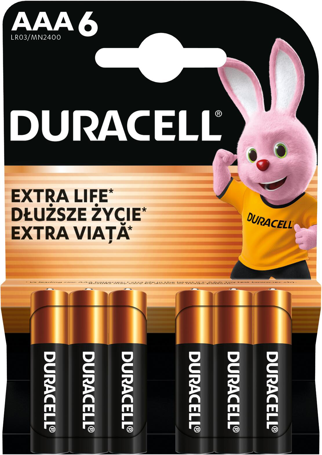 Батарейки лужні Duracell Basic AAA алкаліновi 1.5V LR03 6 шт (5000394142404)фото