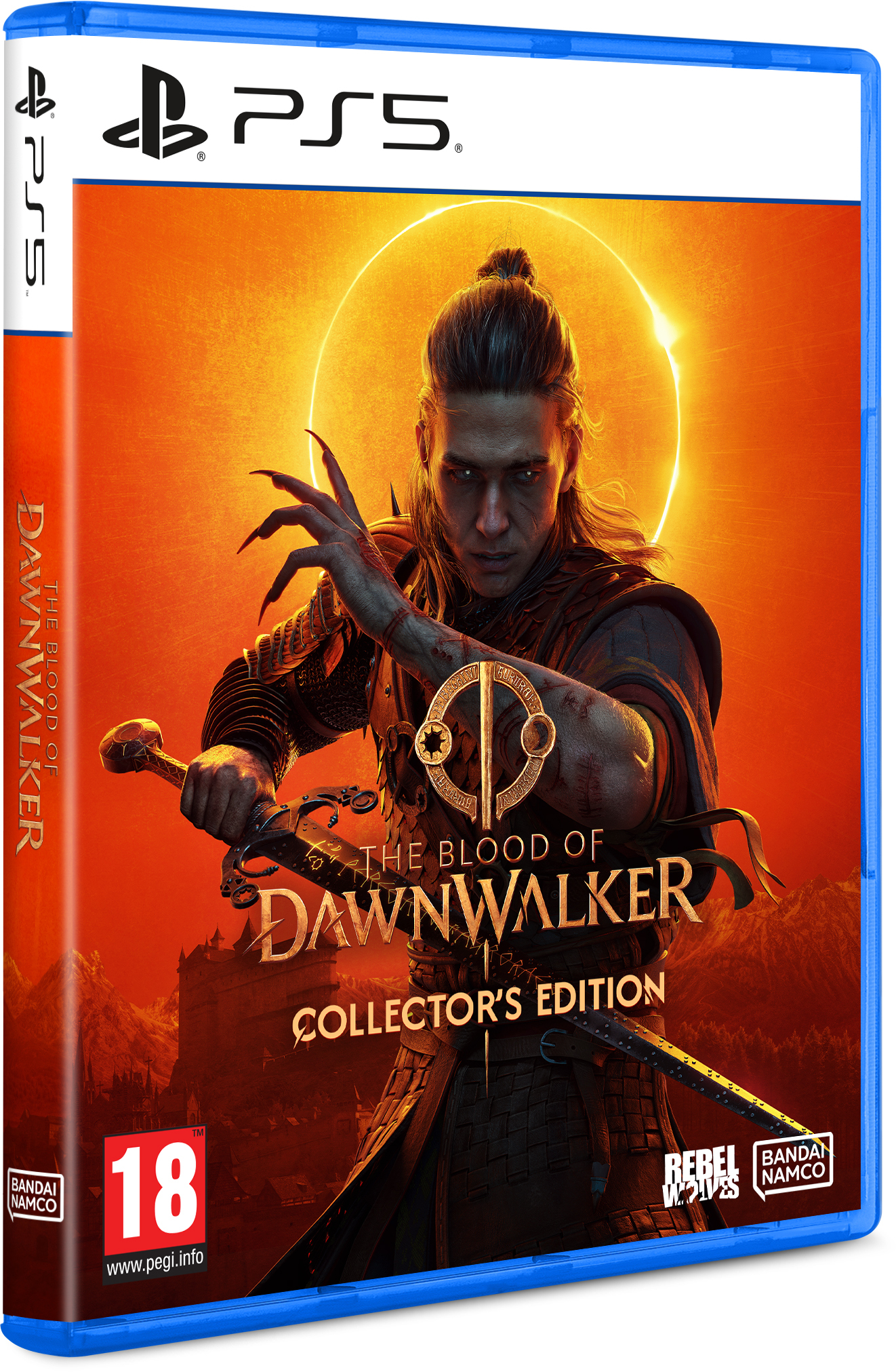 Игра The Blood of Dawnwalker Collector`s Edition (PS5) фото 
