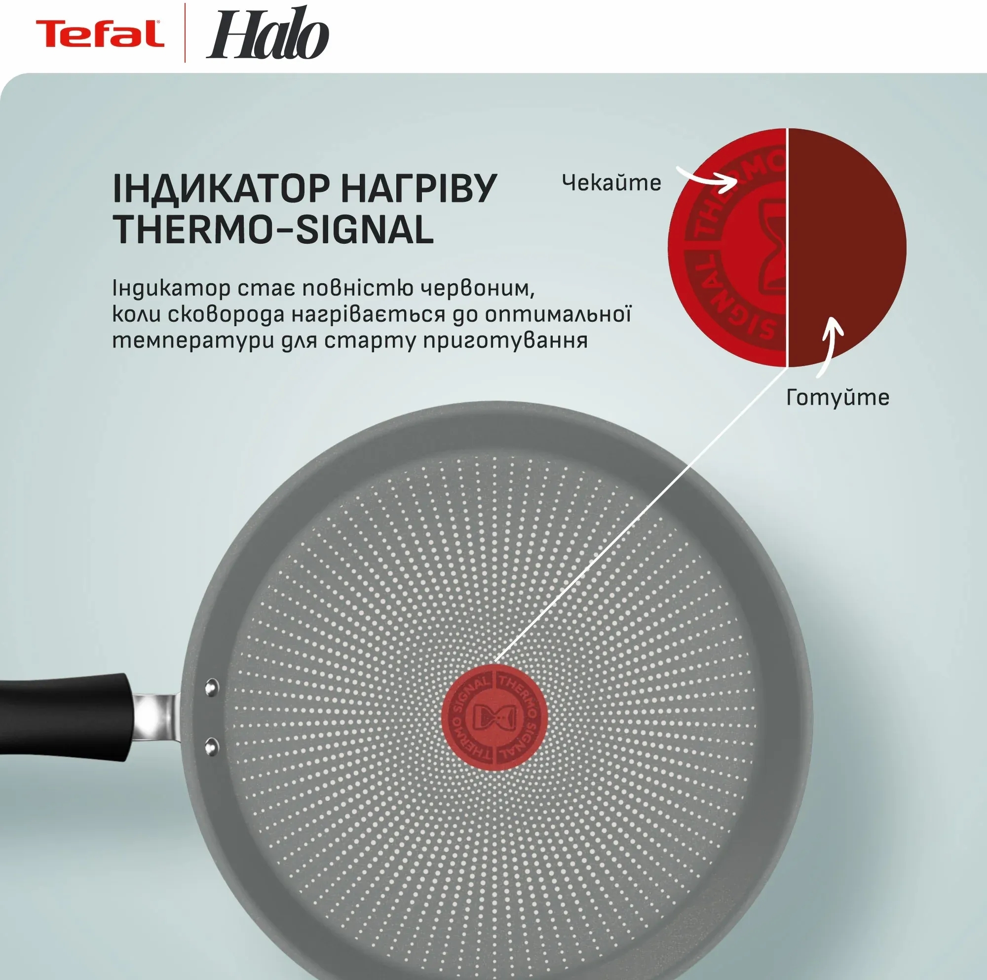 Сковорода для блинов Tefal Halo EUCALYPTUS, 25 см, алюминий, бакелит (G0163802) фото 7