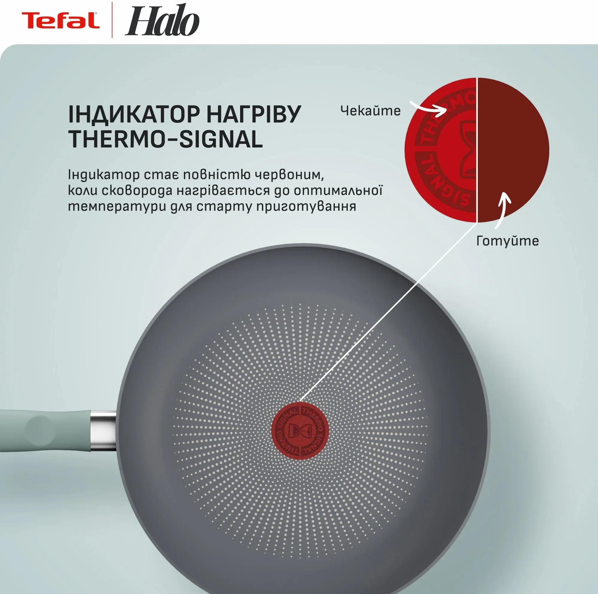 Сковорода Tefal Halo EUCALYPTUS, 28см, алюміній, бакеліт (G0160602)фото