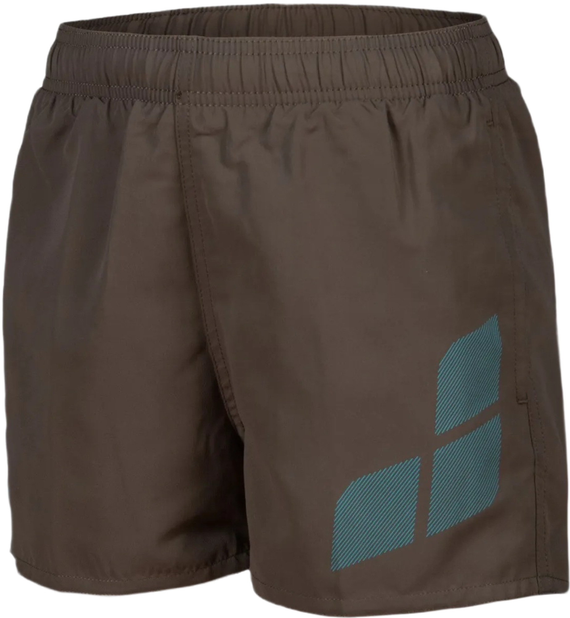 Шорты для мальчиков Arena Beach Short Logo R 006446-681 128 коричневые/голубые фото 