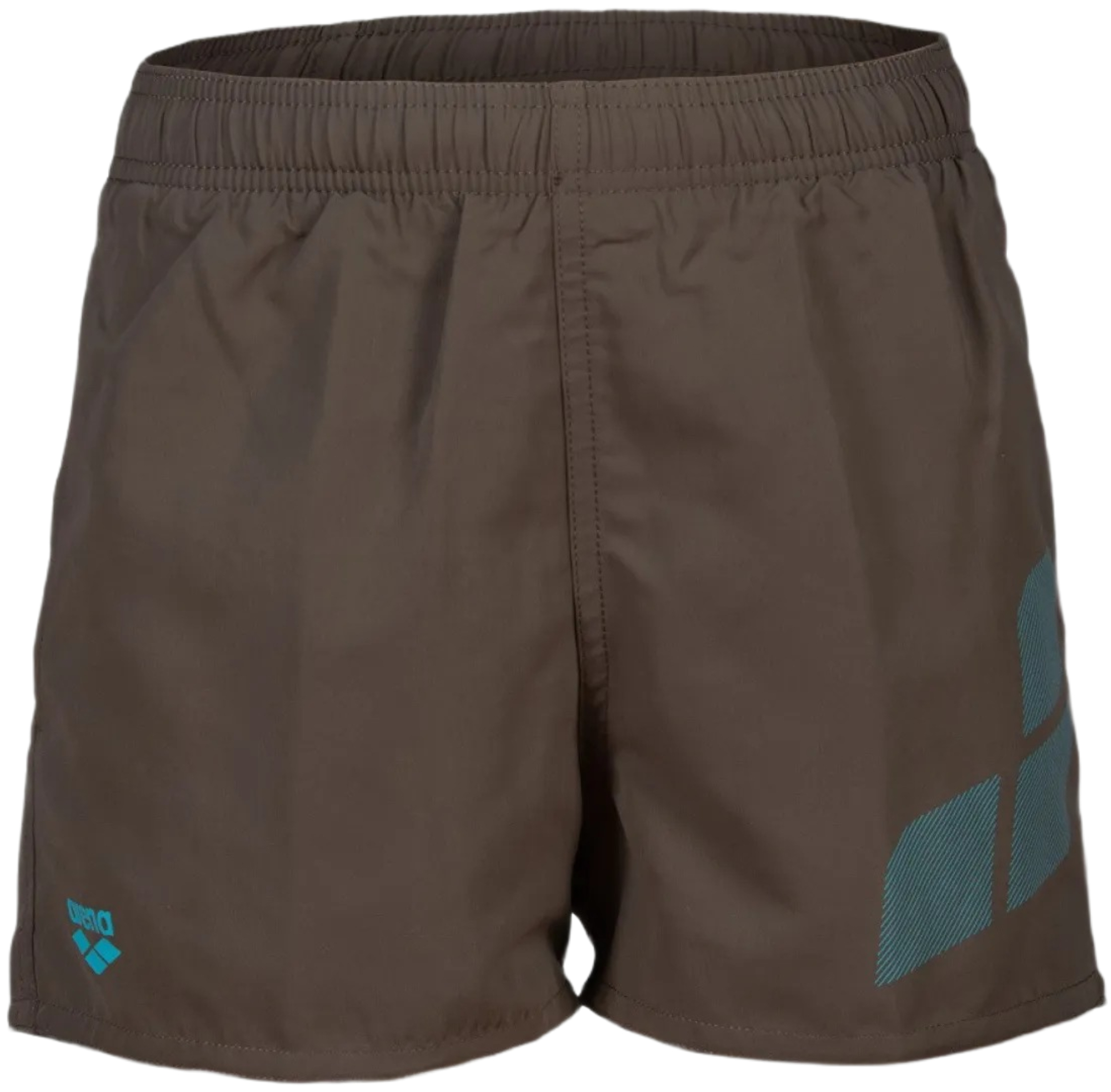 Шорты для мальчиков Arena Beach Short Logo R 006446-681 140 коричневые/голубые фото 