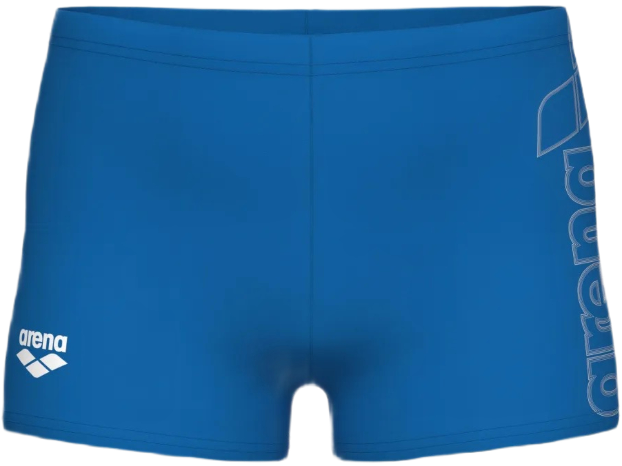 Плавки-шорты для мальчиков Arena Logo Swim Short 010349-508 140 голубые фото3
