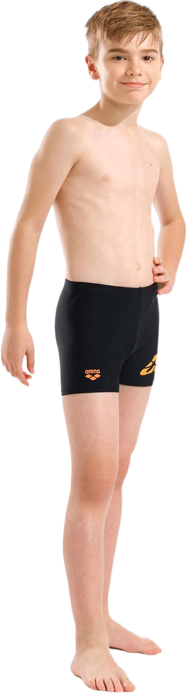Плавки Arena Lettering Swim Short 010864-500 116 черные фото 