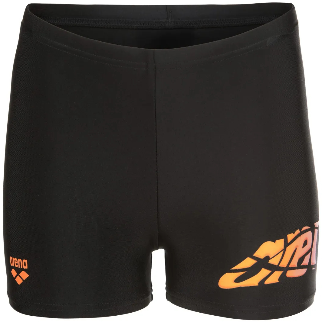 Плавки Arena Lettering Swim Short 010864-500 116 черные фото 