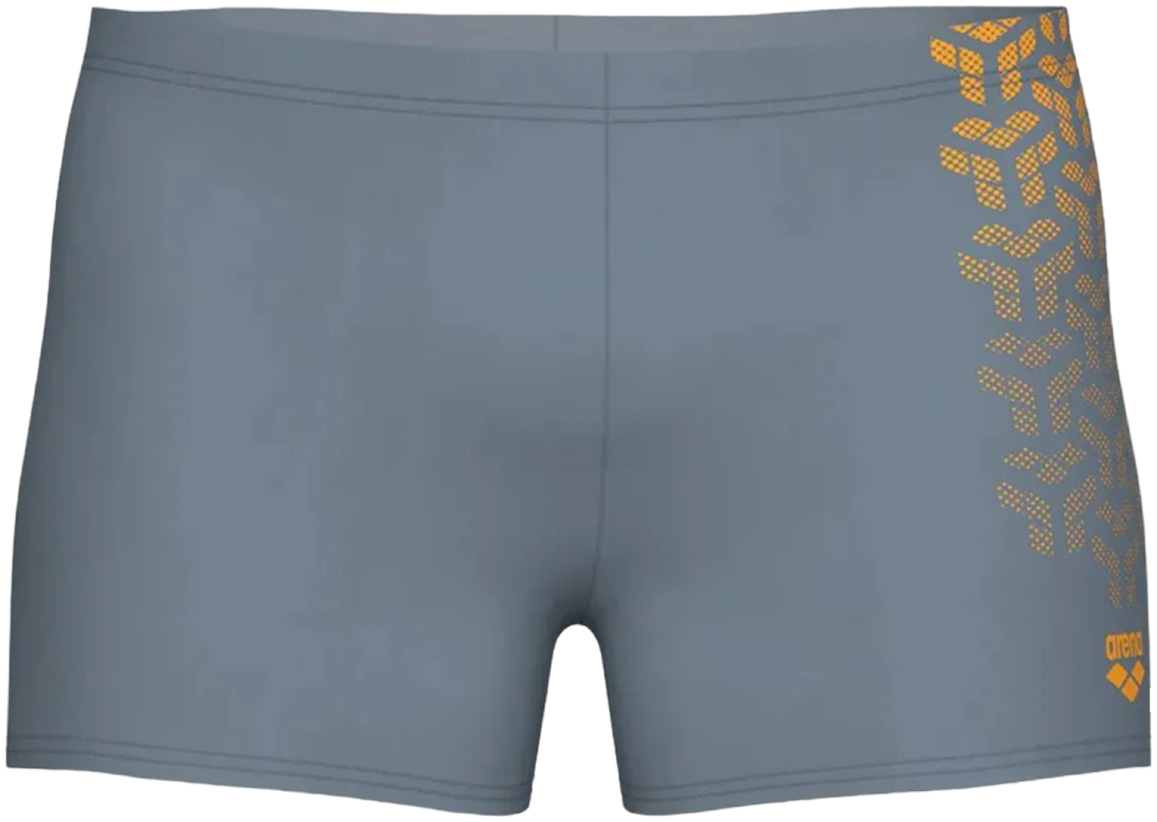Плавки-шорты Arena Kikko V Swim Short 006703-530 105 серые фото3