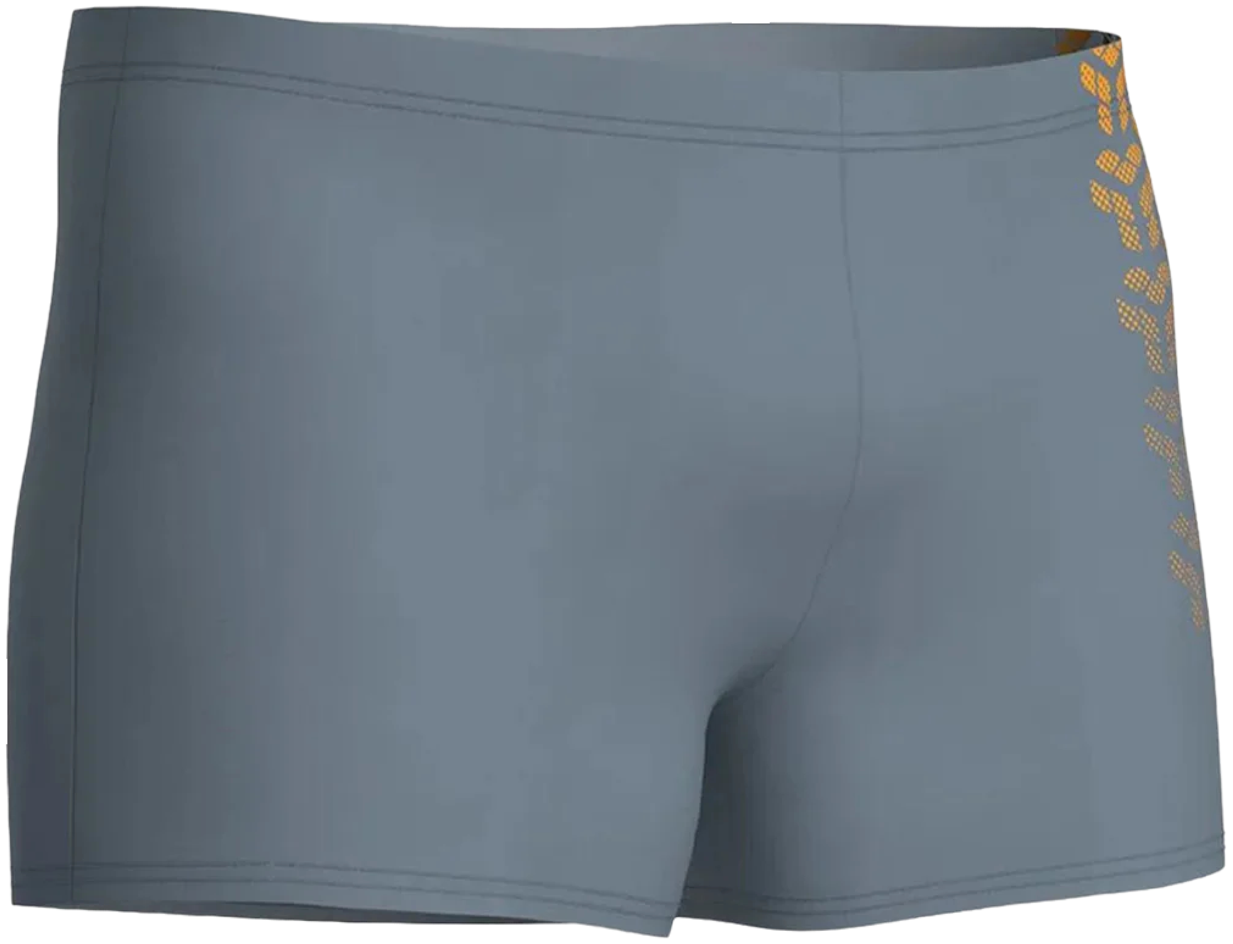 Плавки-шорты Arena Kikko V Swim Short 006703-530 105 серые фото5