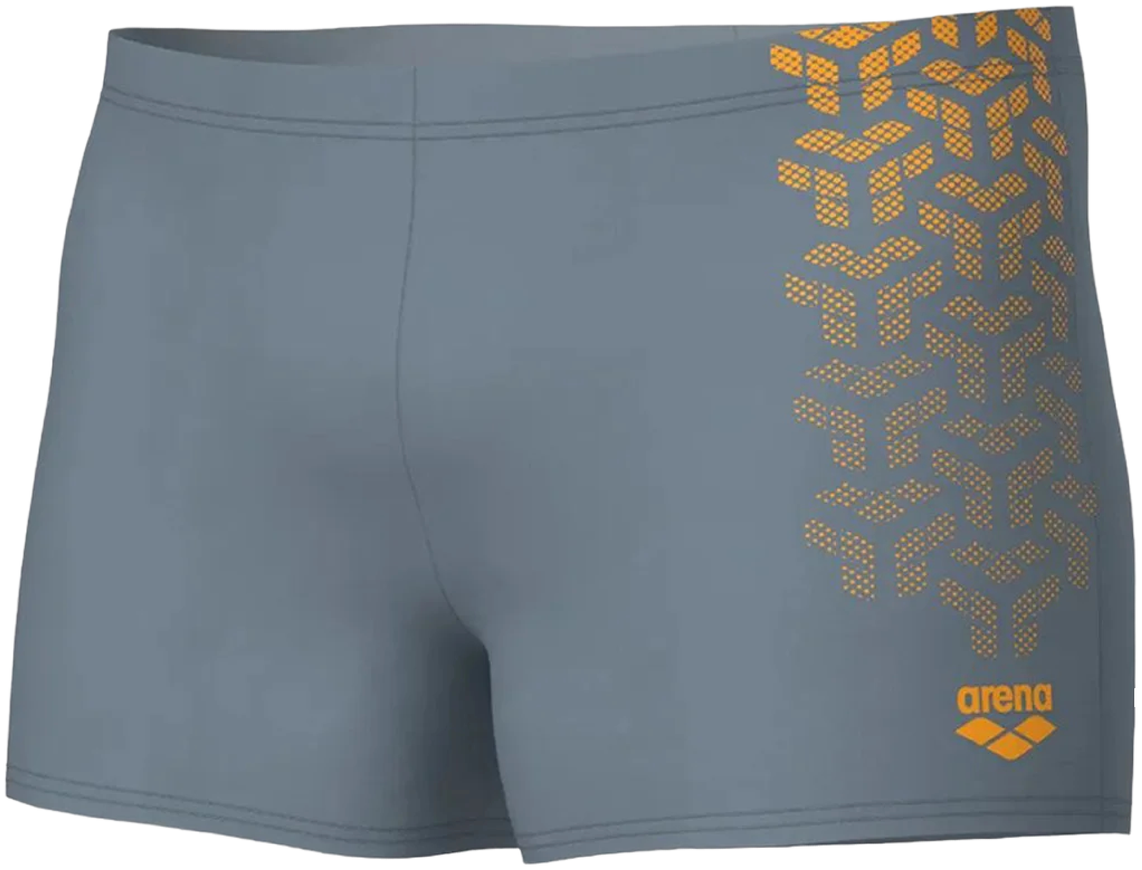 Плавки-шорты Arena Kikko V Swim Short 006703-530 105 серые фото6