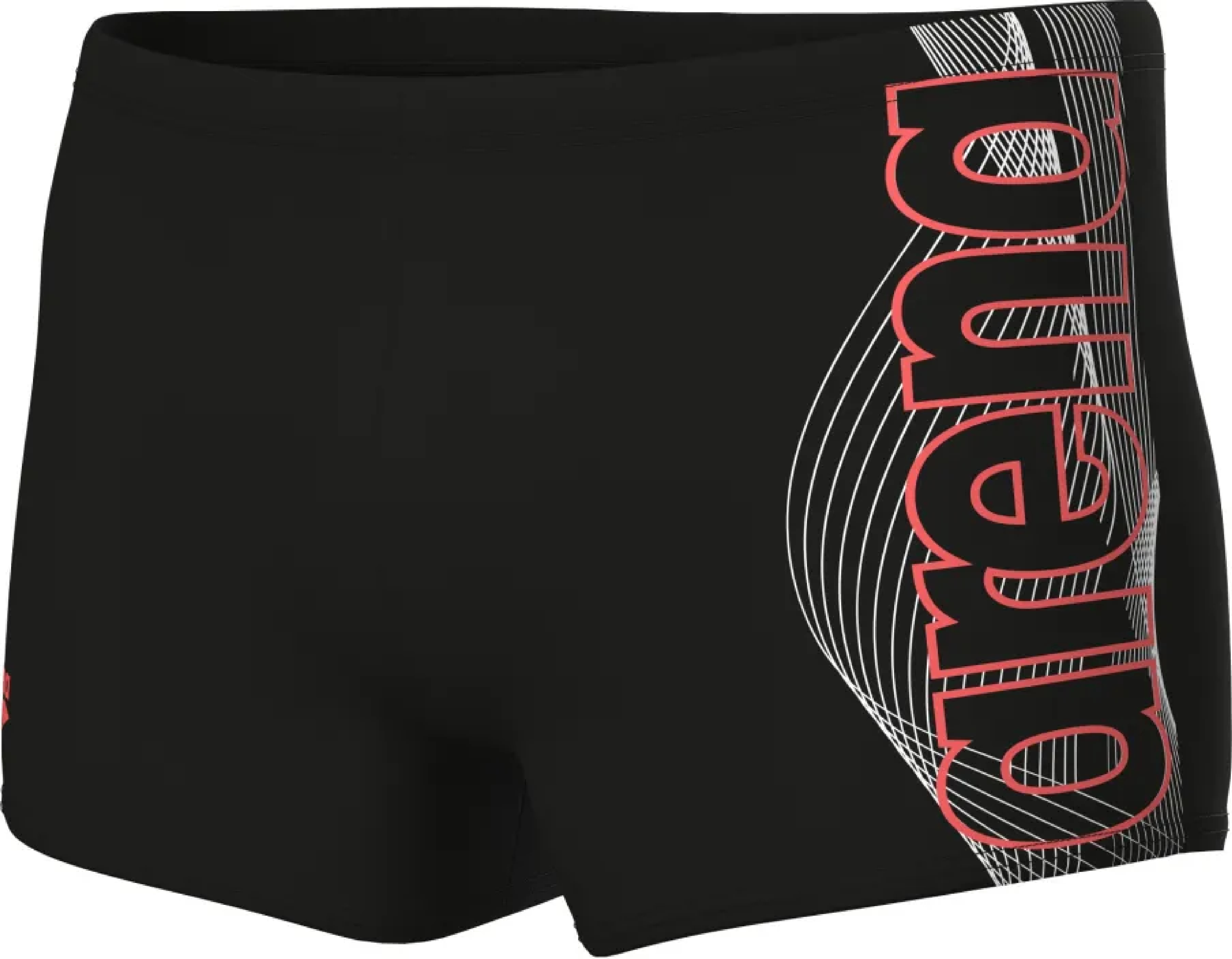Плавки-шорты Arena Basic Swim Short 010276-500 90 черные фото5