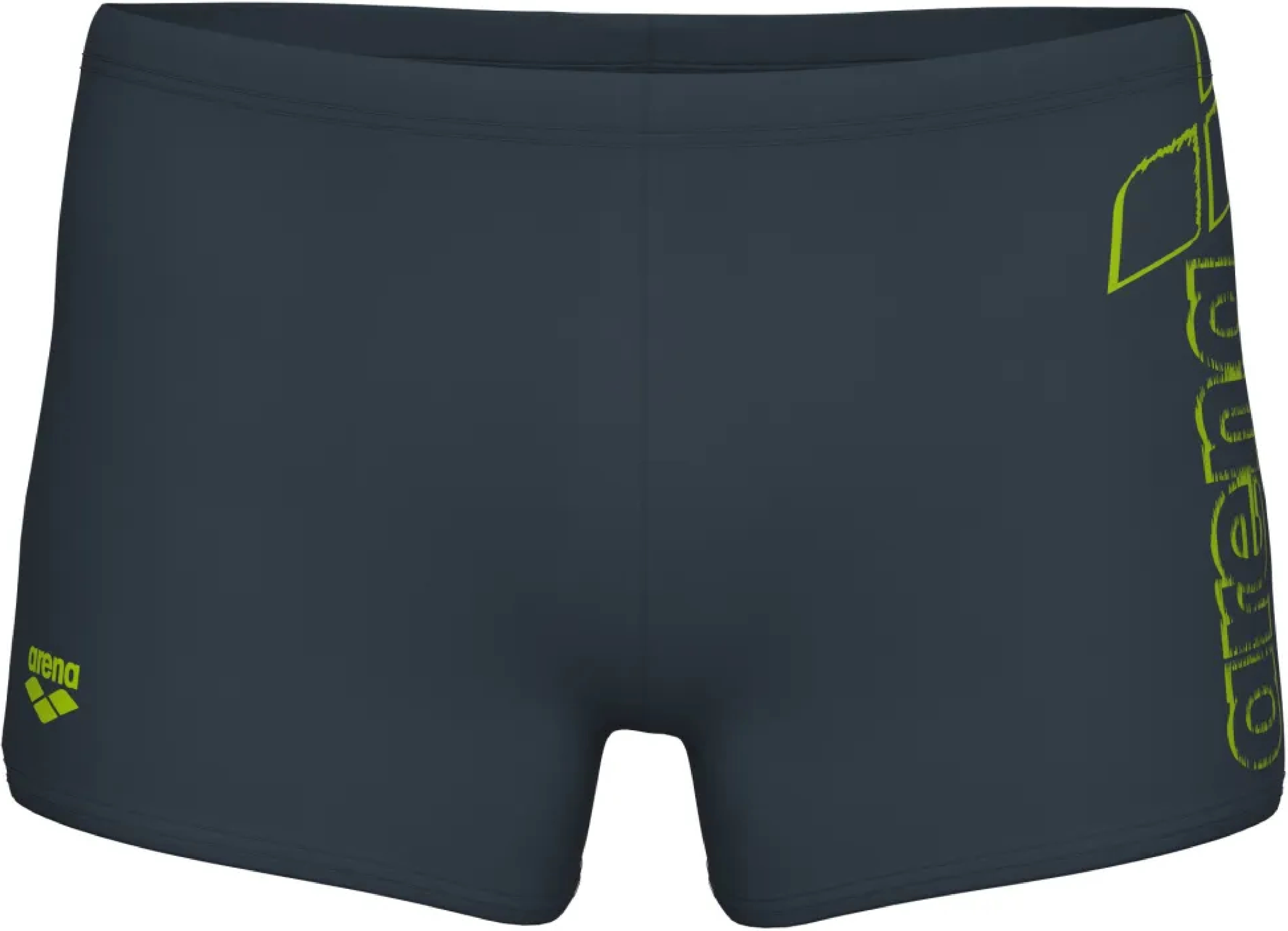 Плавки-шорты Arena Scratchy Swim Short 010281-560 80 серые фото3