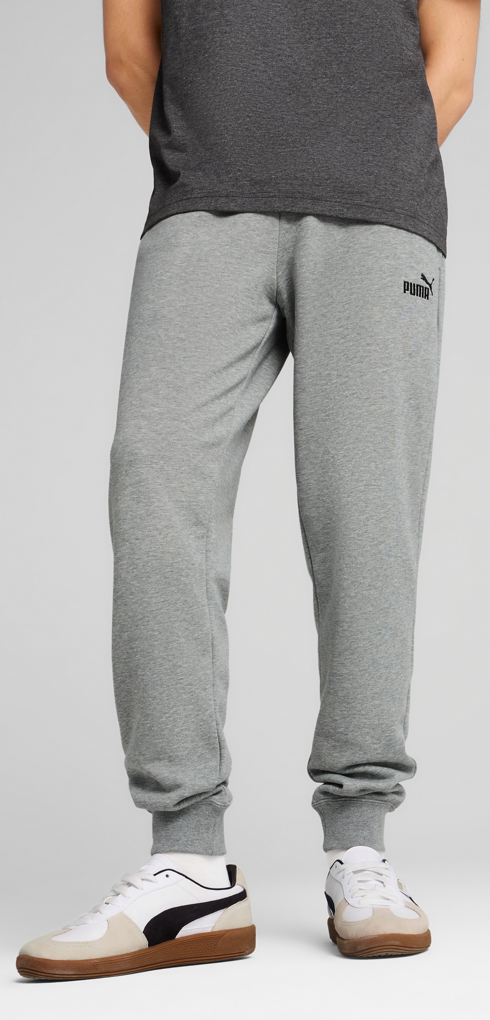 Спортивные штаны мужские Puma Ess No. 1 Logo Seatpants 682608-03 XXL серые фото 