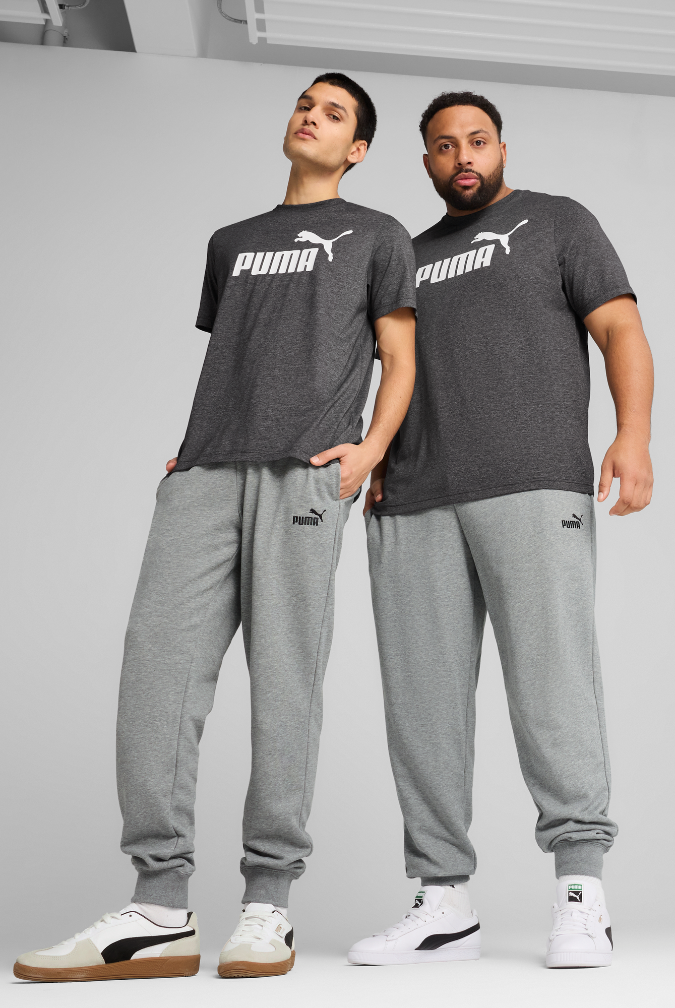 Спортивные штаны мужские Puma Ess No. 1 Logo Seatpants 682608-03 XXL серые фото 