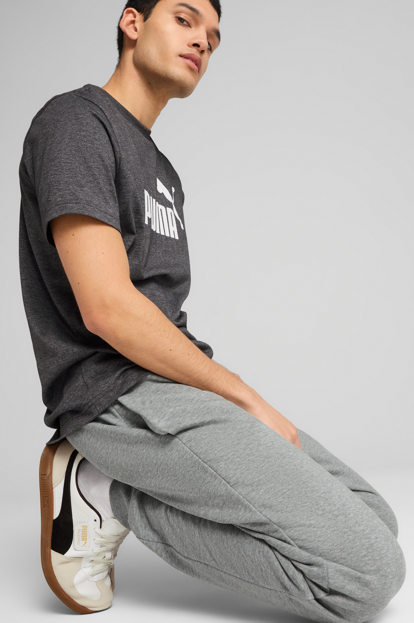 Спортивные штаны мужские Puma Ess No. 1 Logo Seatpants 682608-03 XXL серые фото 