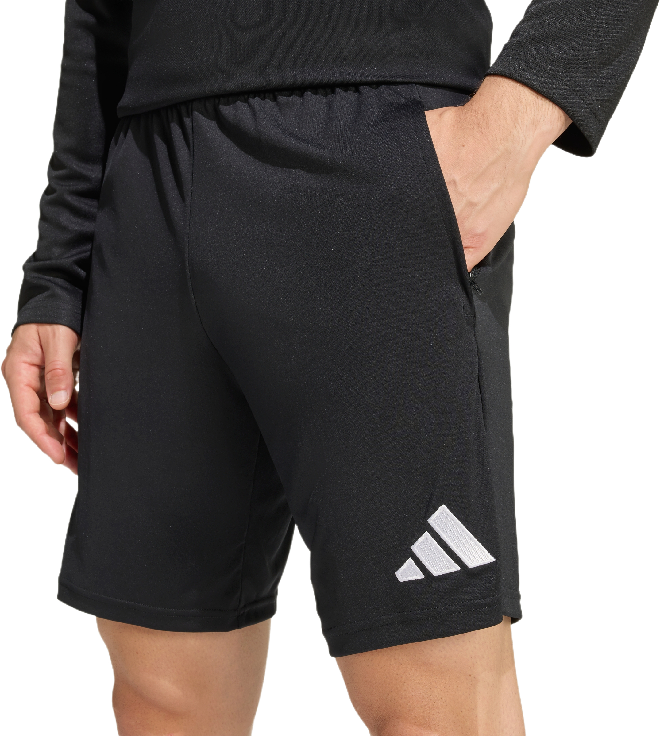 Спортивные шорты мужские Adidas Entrada 26 Training KD0985 S черные фото 