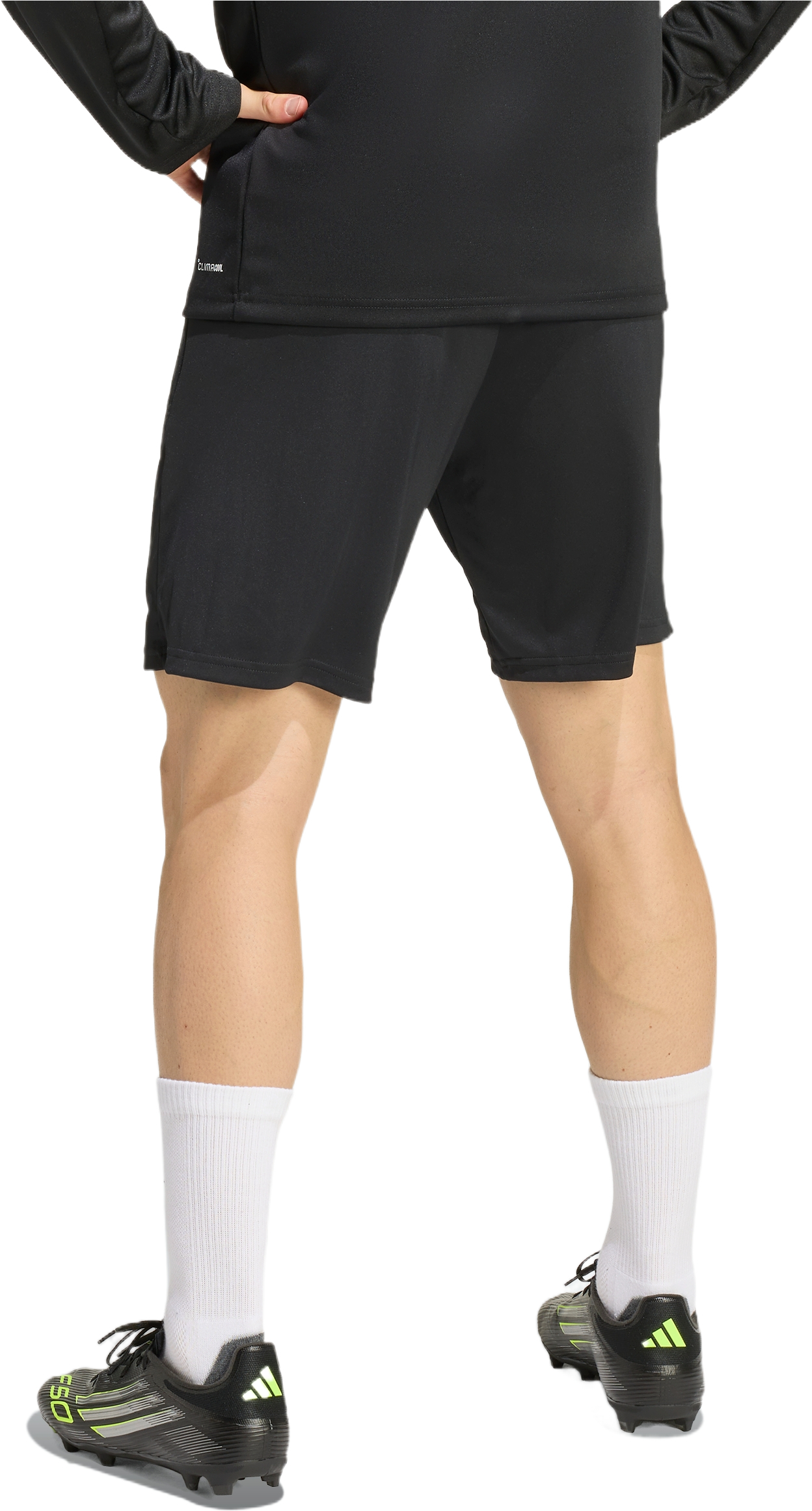 Спортивные шорты мужские Adidas Entrada 26 Training KD0985 XL черные фото 