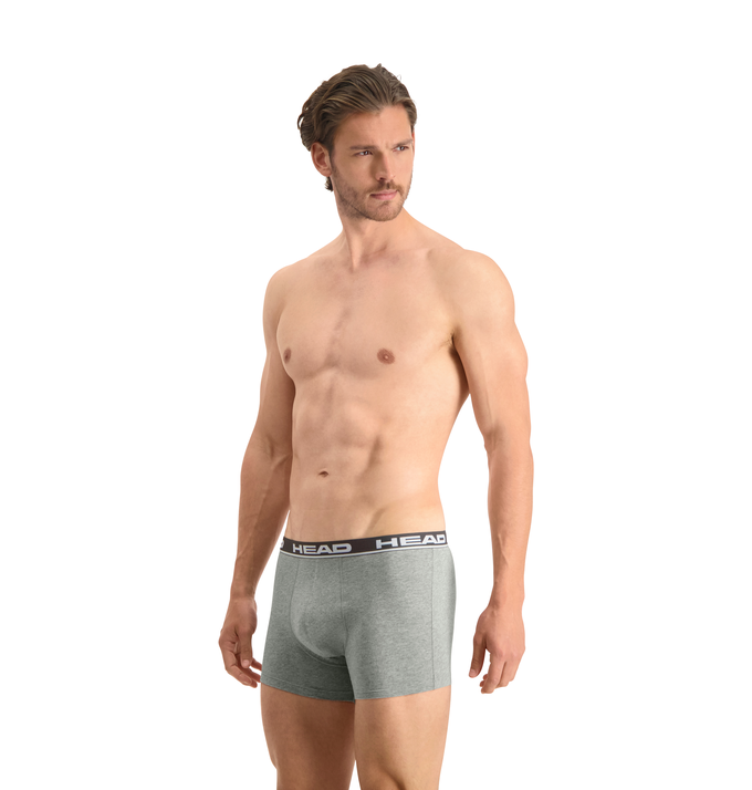 Набор трусов-боксеров мужских Head Basic Boxer 2P 701202741-012 XL 2 шт серые/светло-серые фото 