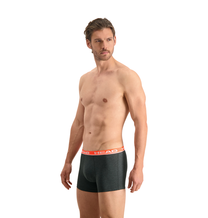 Набор трусов-боксеров мужских Head Basic Boxer 2P 701202741-011 M 2 шт серые/красные фото 