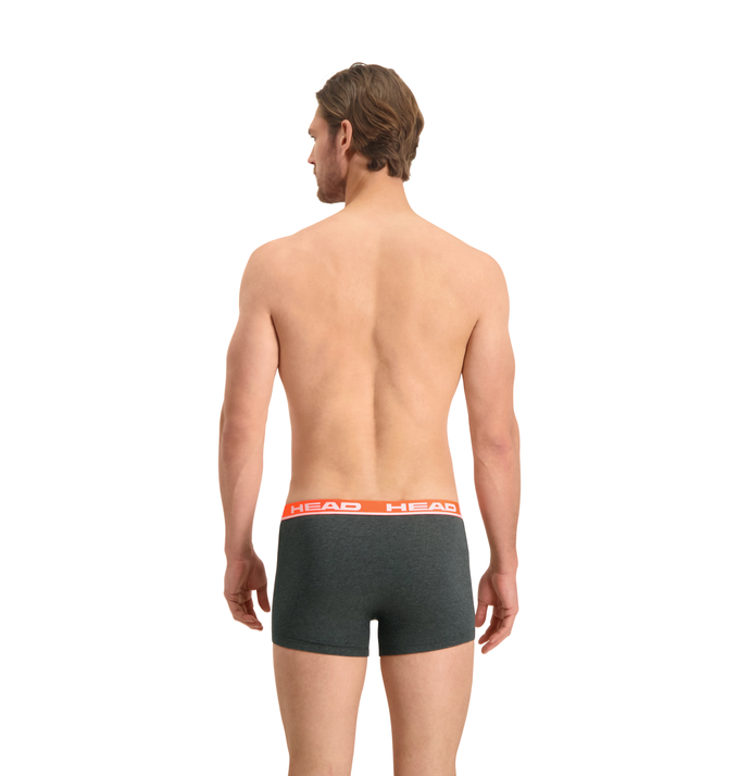 Набор трусов-боксеров мужских Head Basic Boxer 2P 701202741-011 M 2 шт серые/красные фото 