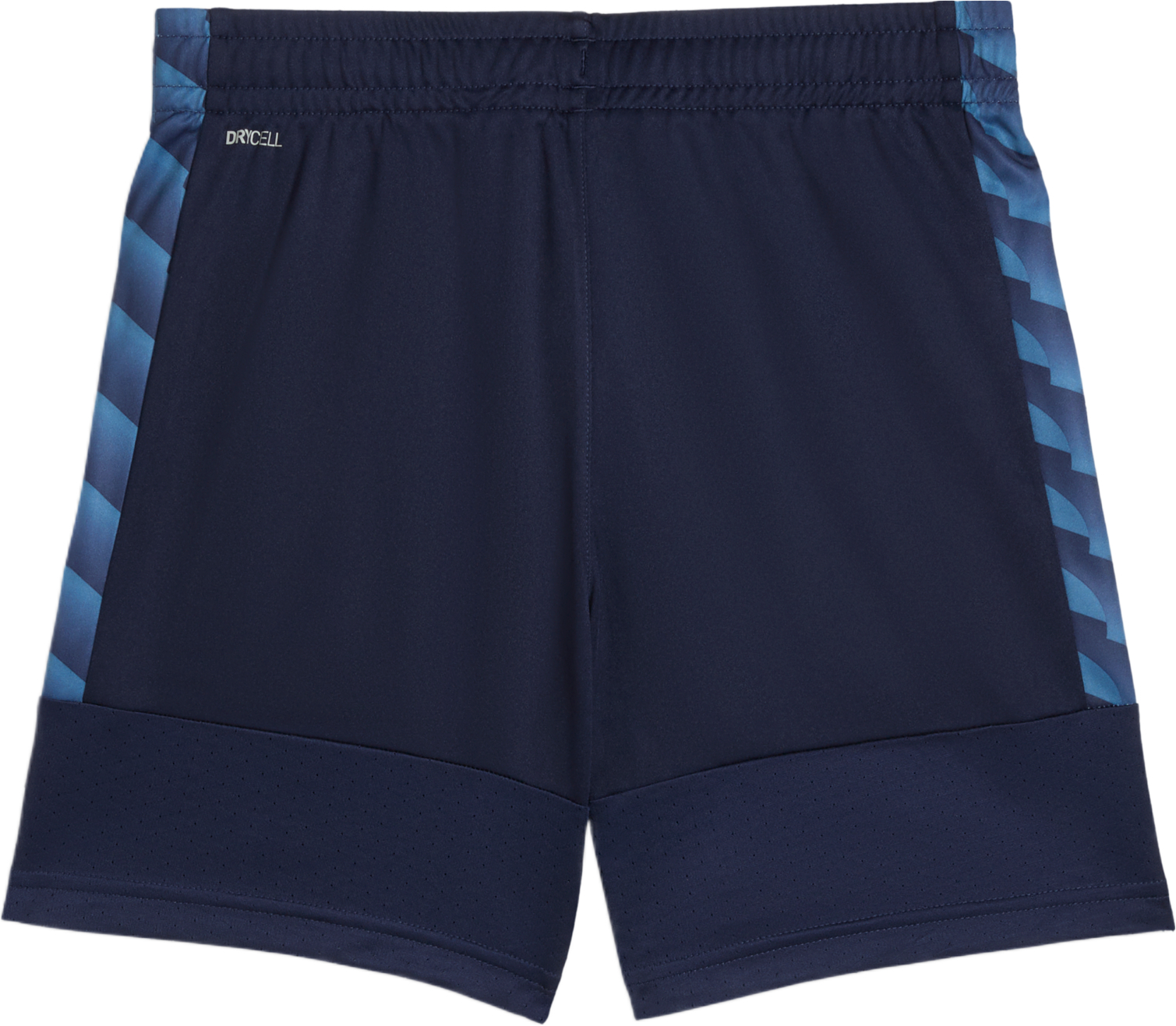 Спортивні шорти дитячі Puma team Liga TRG 659732-06 176 темно-синіфото