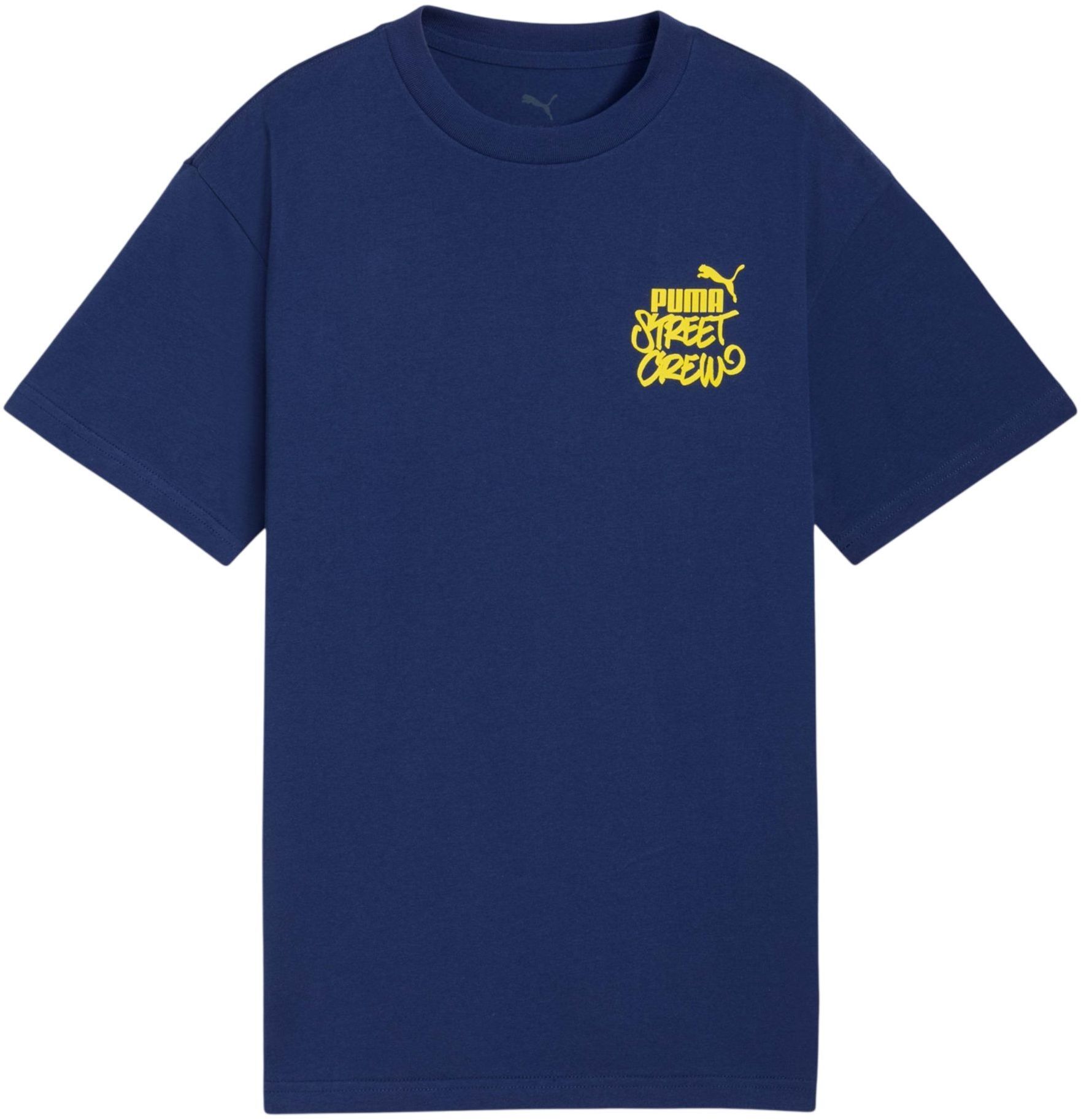 Футболка для мальчиков Puma Essentials Graphics 692119-49 176 синяя фото 