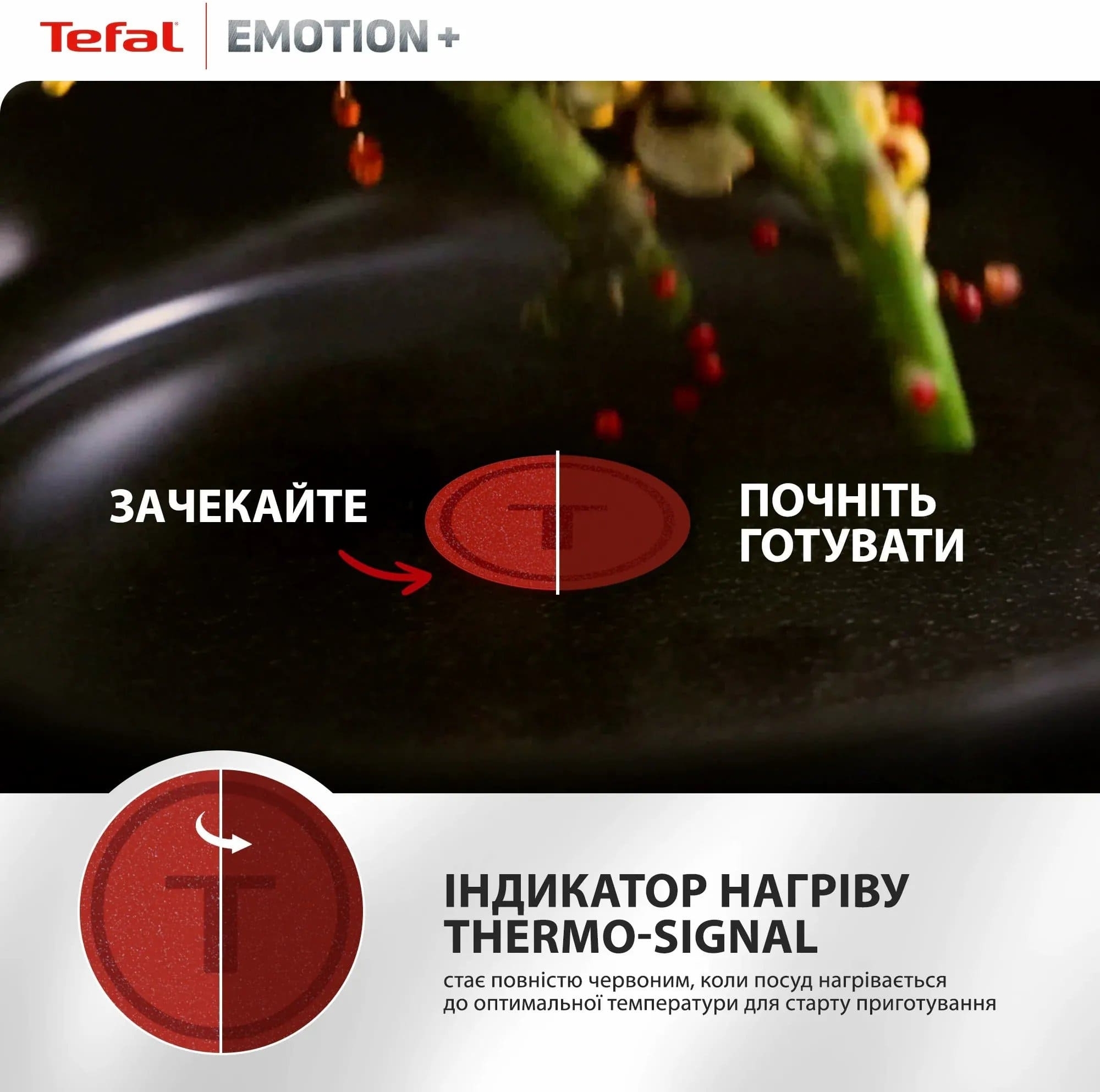 Сковорода для блинов Tefal Emotion+, 25см (E3383855) фото 