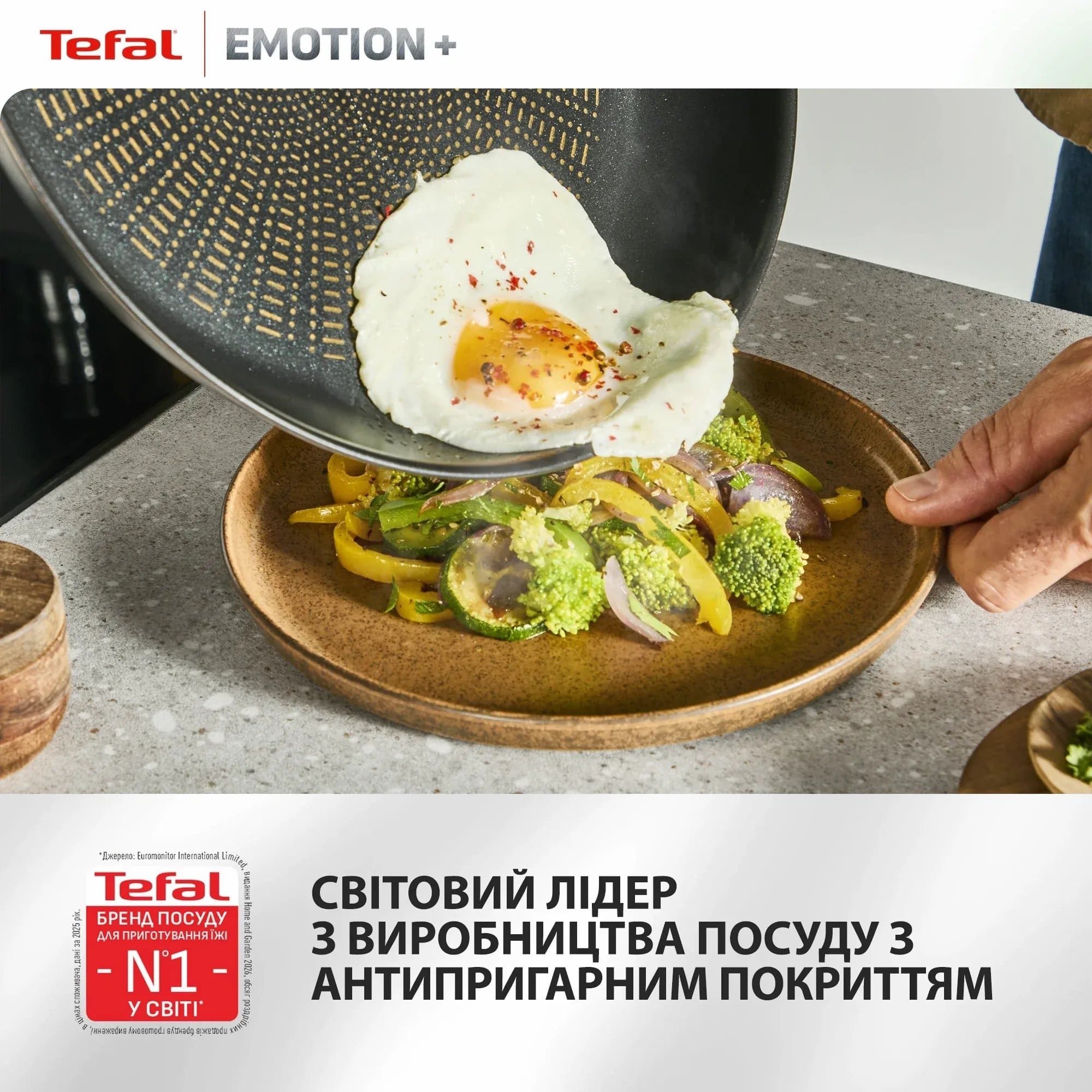Сковорода для блинов Tefal Emotion+, 25см (E3383855) фото 