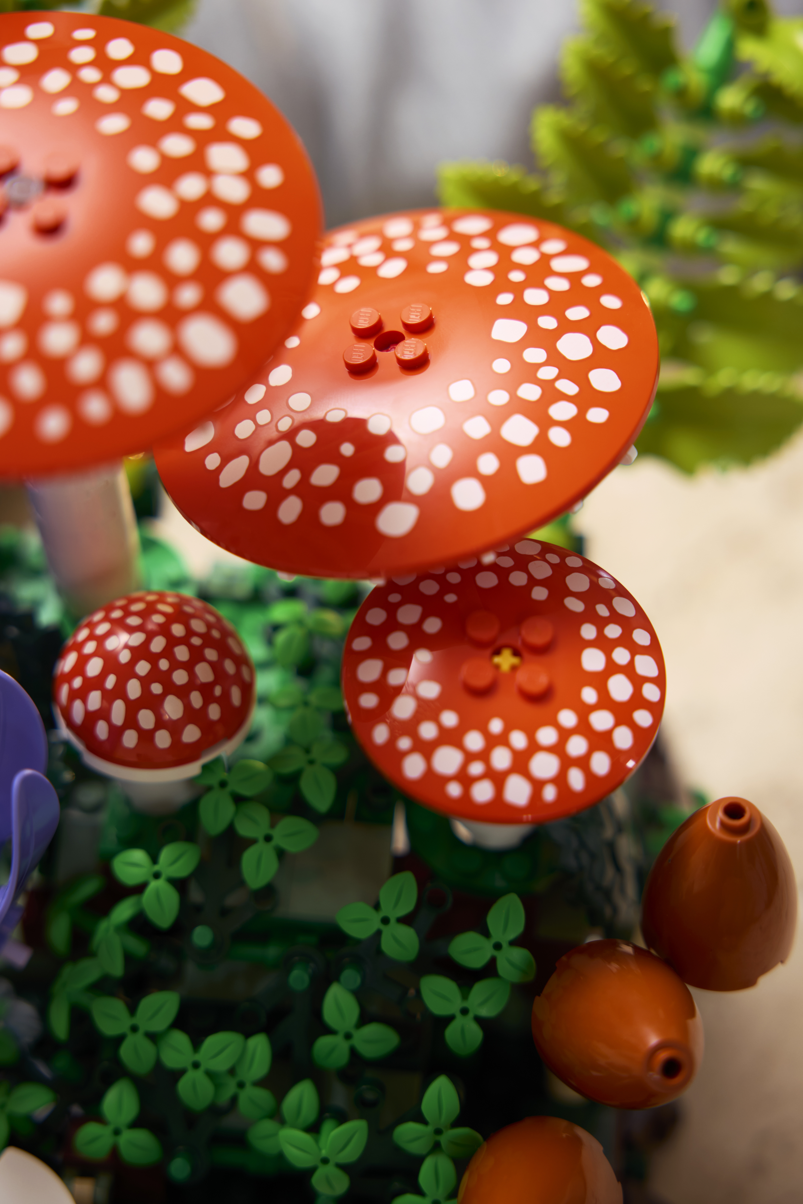 LEGO 11505 Botanicals Лесные грибы фото 