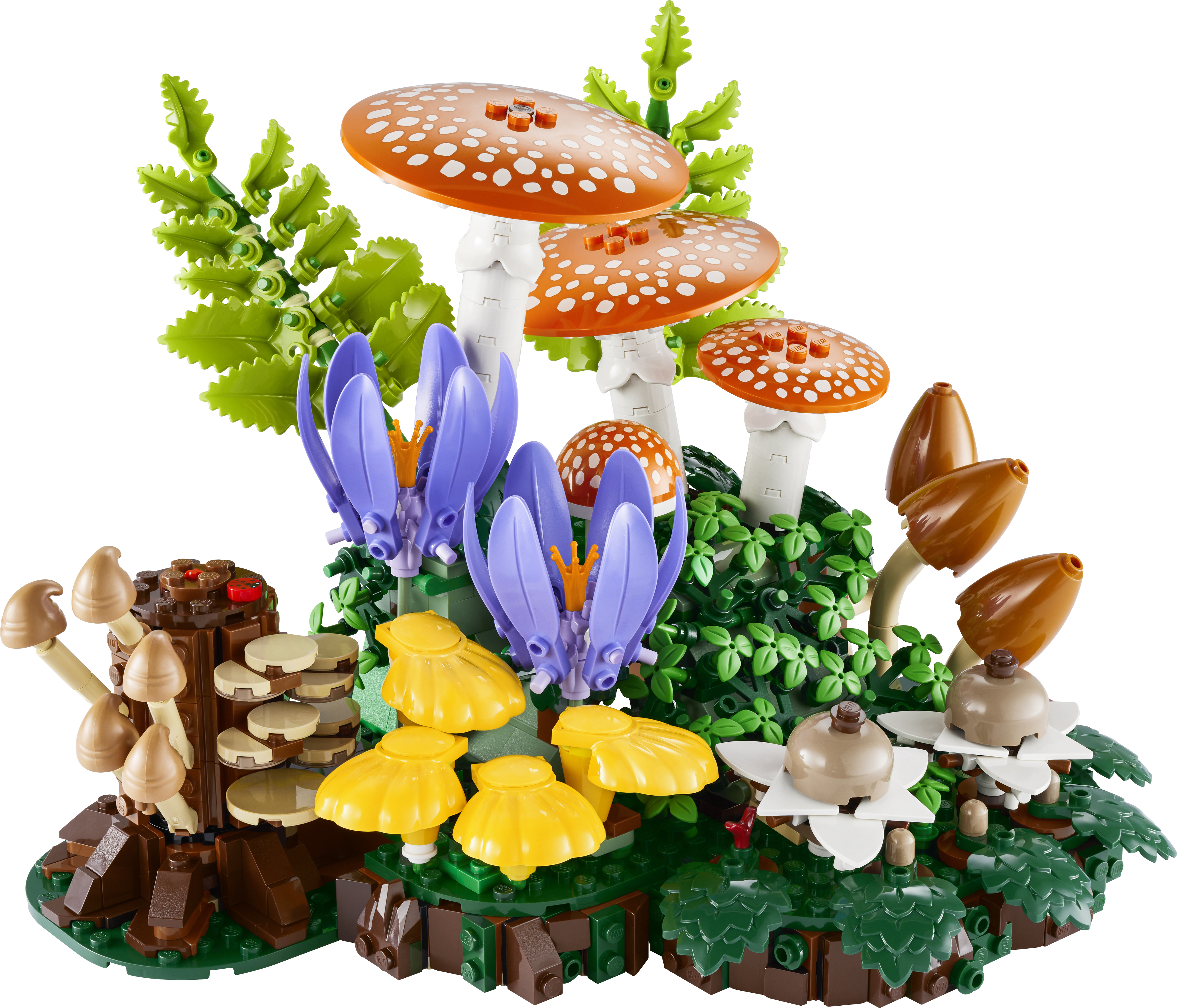 LEGO 11505 Botanicals Лесные грибы фото 