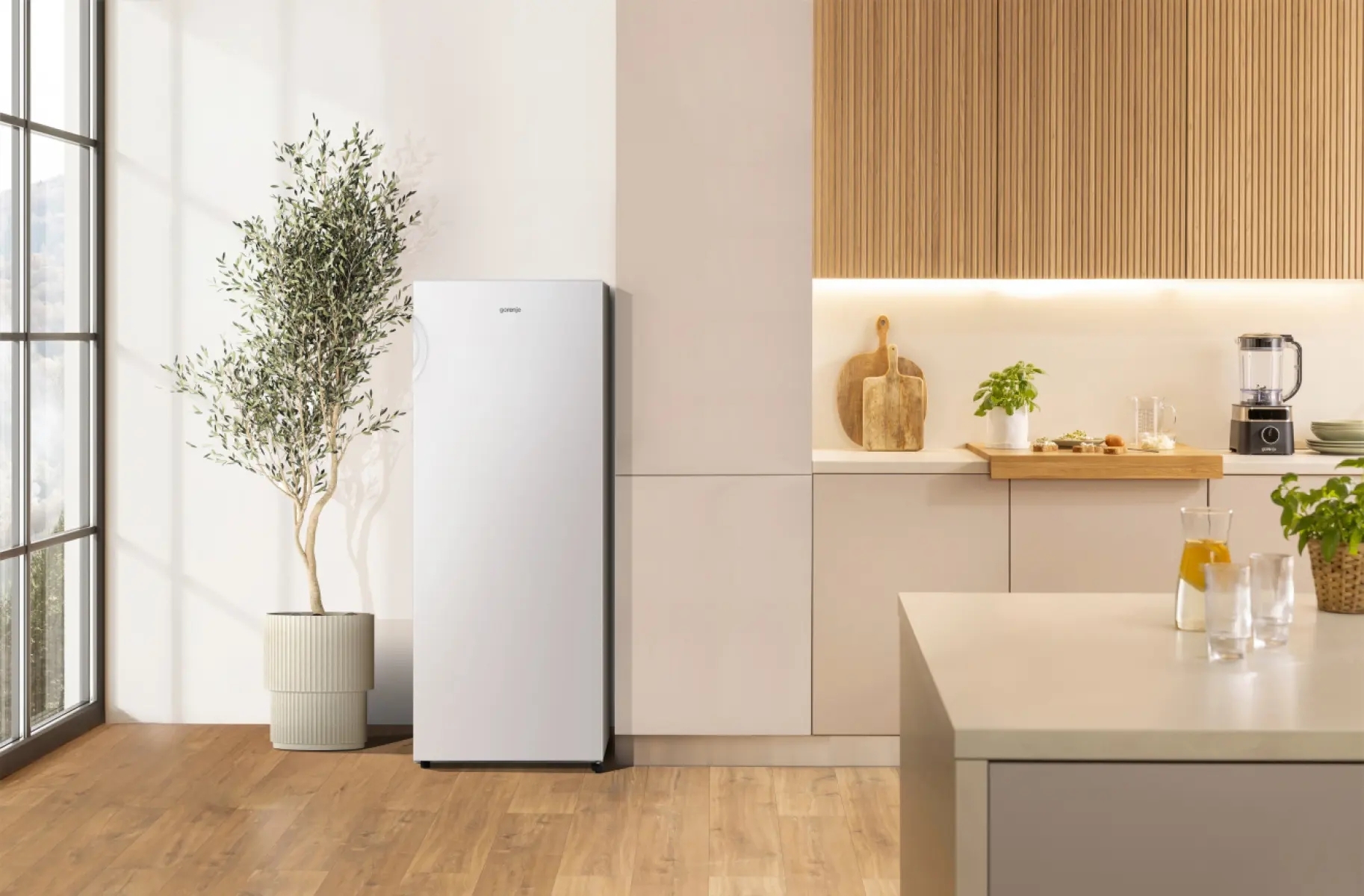 Морозильная камера Gorenje F4142PW_Sale фото 3