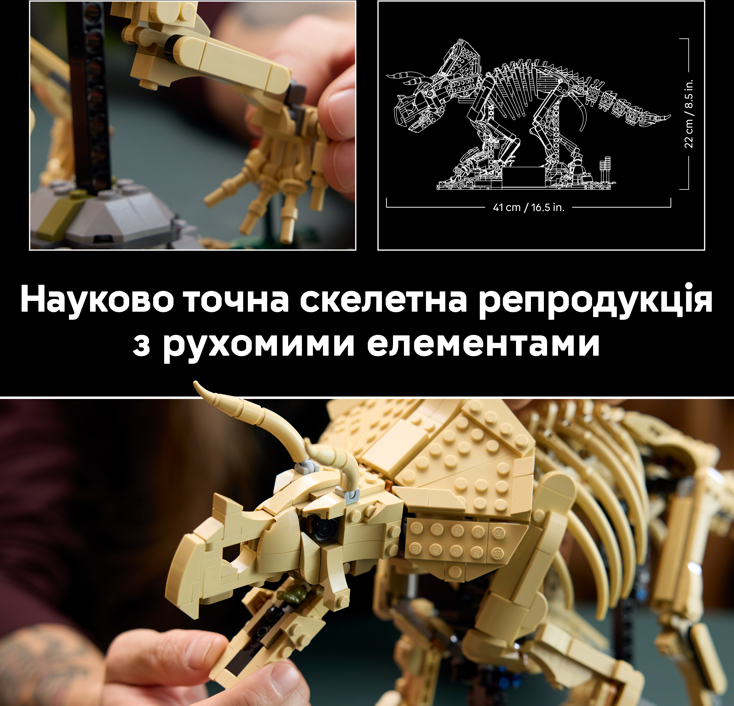 LEGO 77985 Jurassic World Окаменелости динозавров: трицератопс фото 5