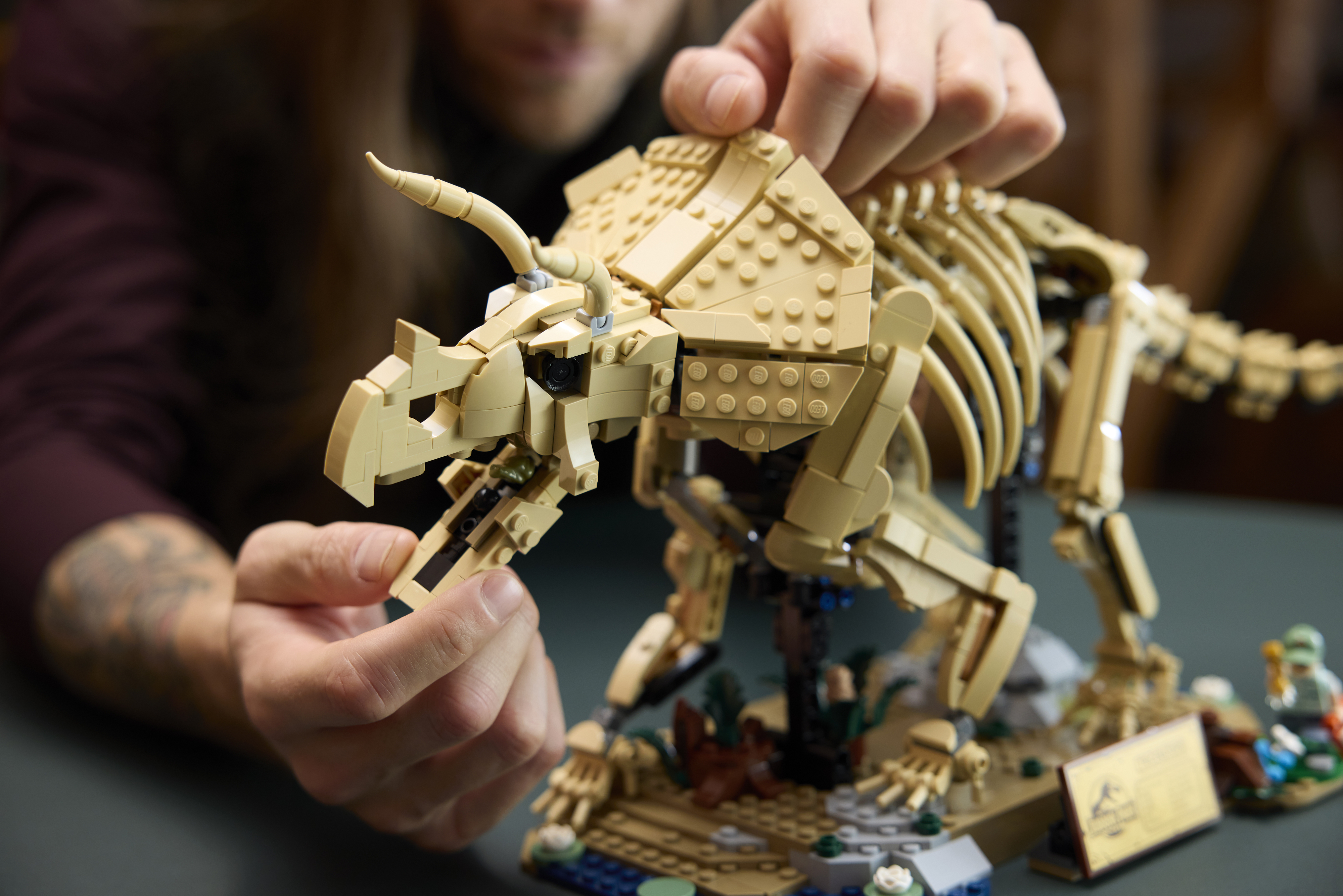 LEGO 77985 Jurassic World Окаменелости динозавров: трицератопс фото 10