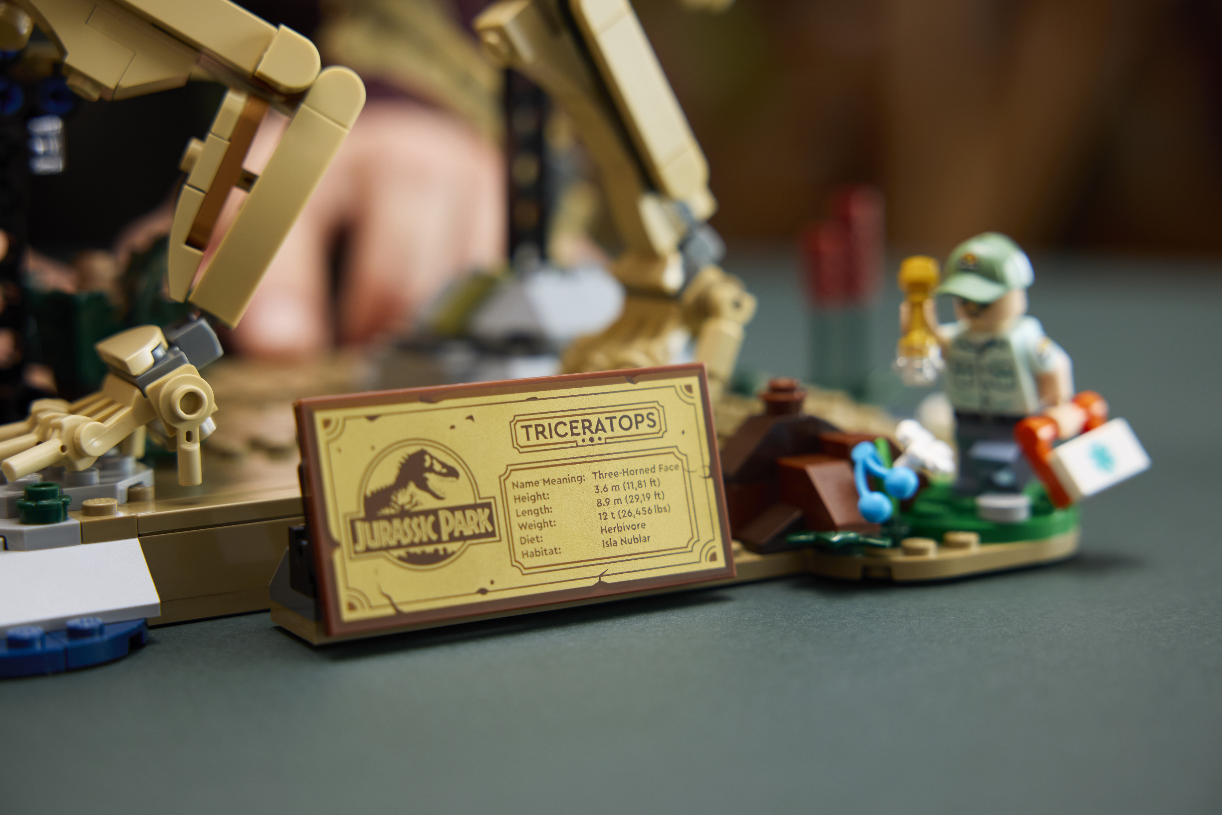LEGO 77985 Jurassic World Окаменелости динозавров: трицератопс фото 11