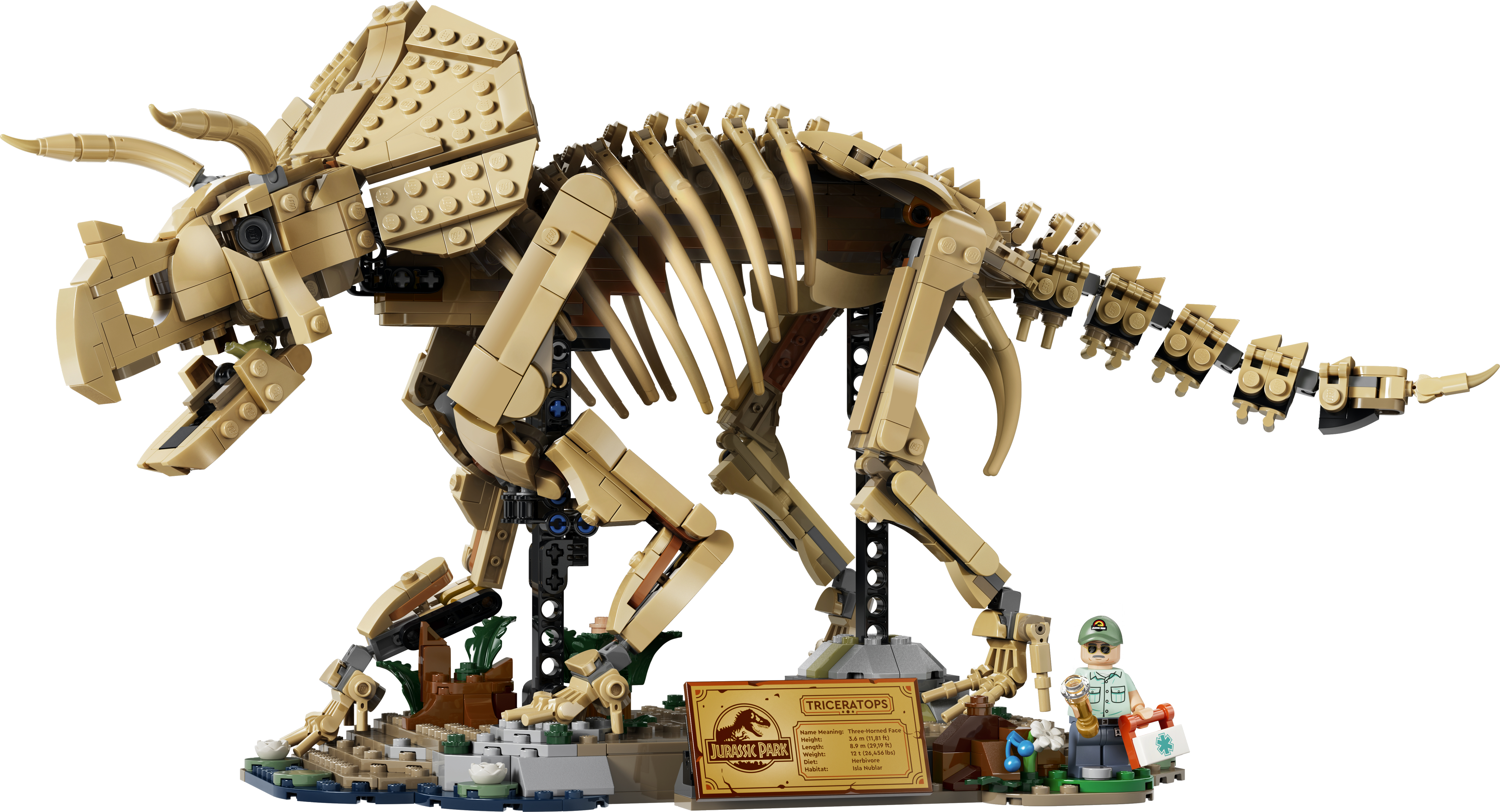LEGO 77985 Jurassic World Окаменелости динозавров: трицератопс фото 2