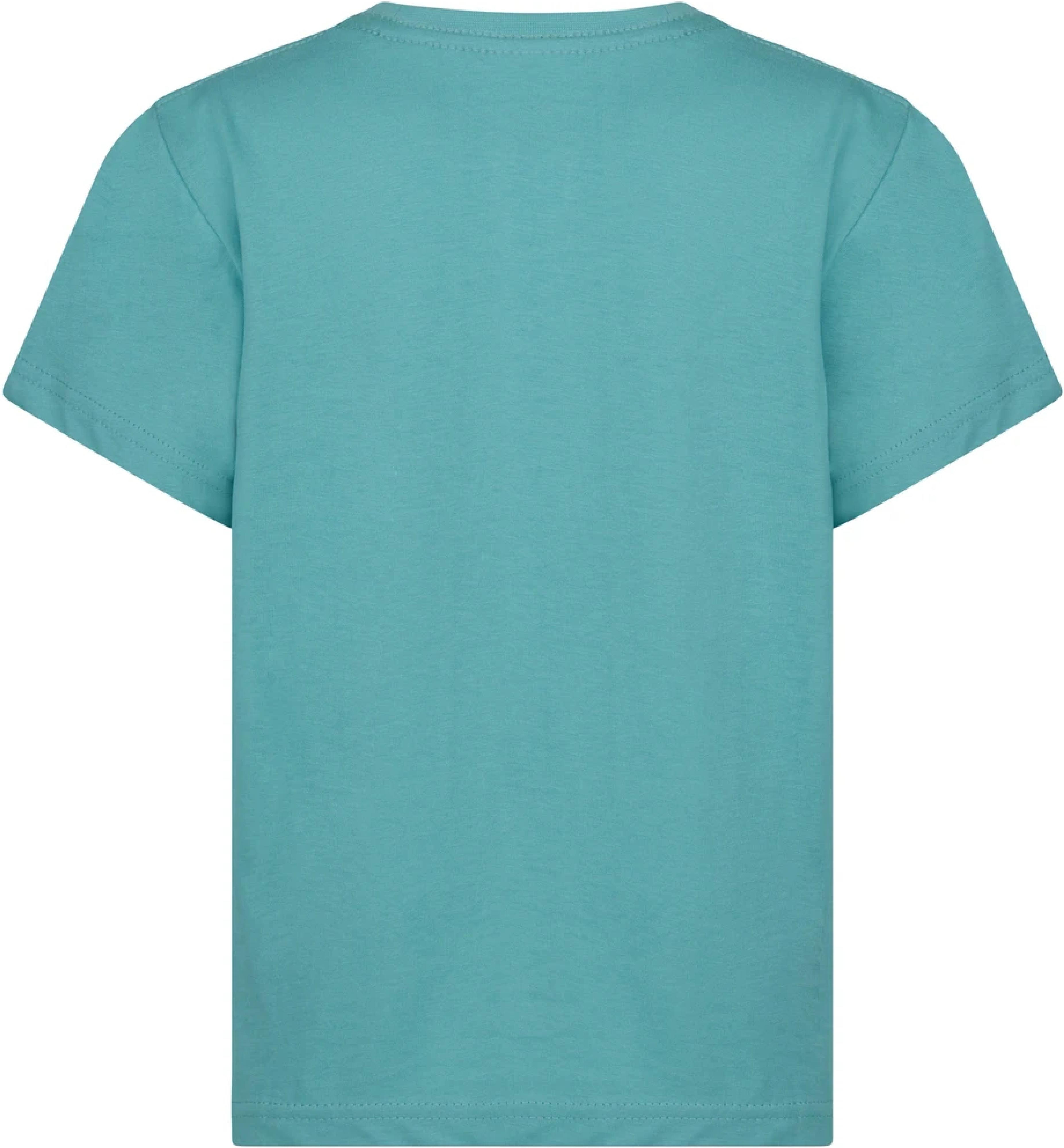 Футболка хлопковая детская Mukua Palm Kids TS190KC_515 12/14 бирюзовая фото 