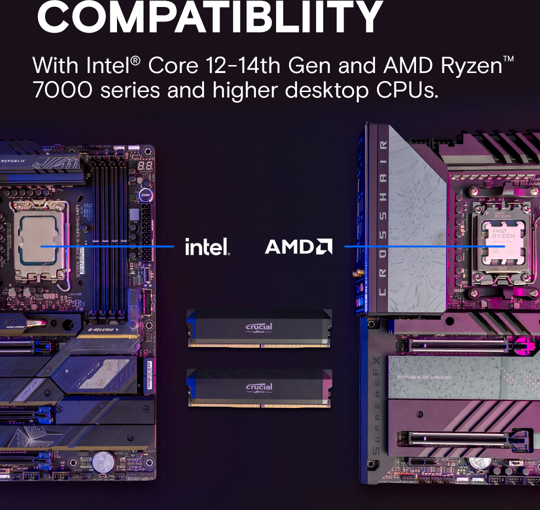 Пам'ять для ПК Crucial Pro DDR5 6000 32GB (2x16GB) (CP2K16G60C36U5B)фото4