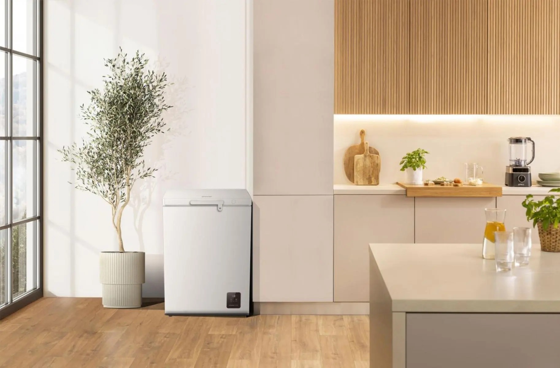 Морозильный ларь Gorenje FH15E6W5 фото 6