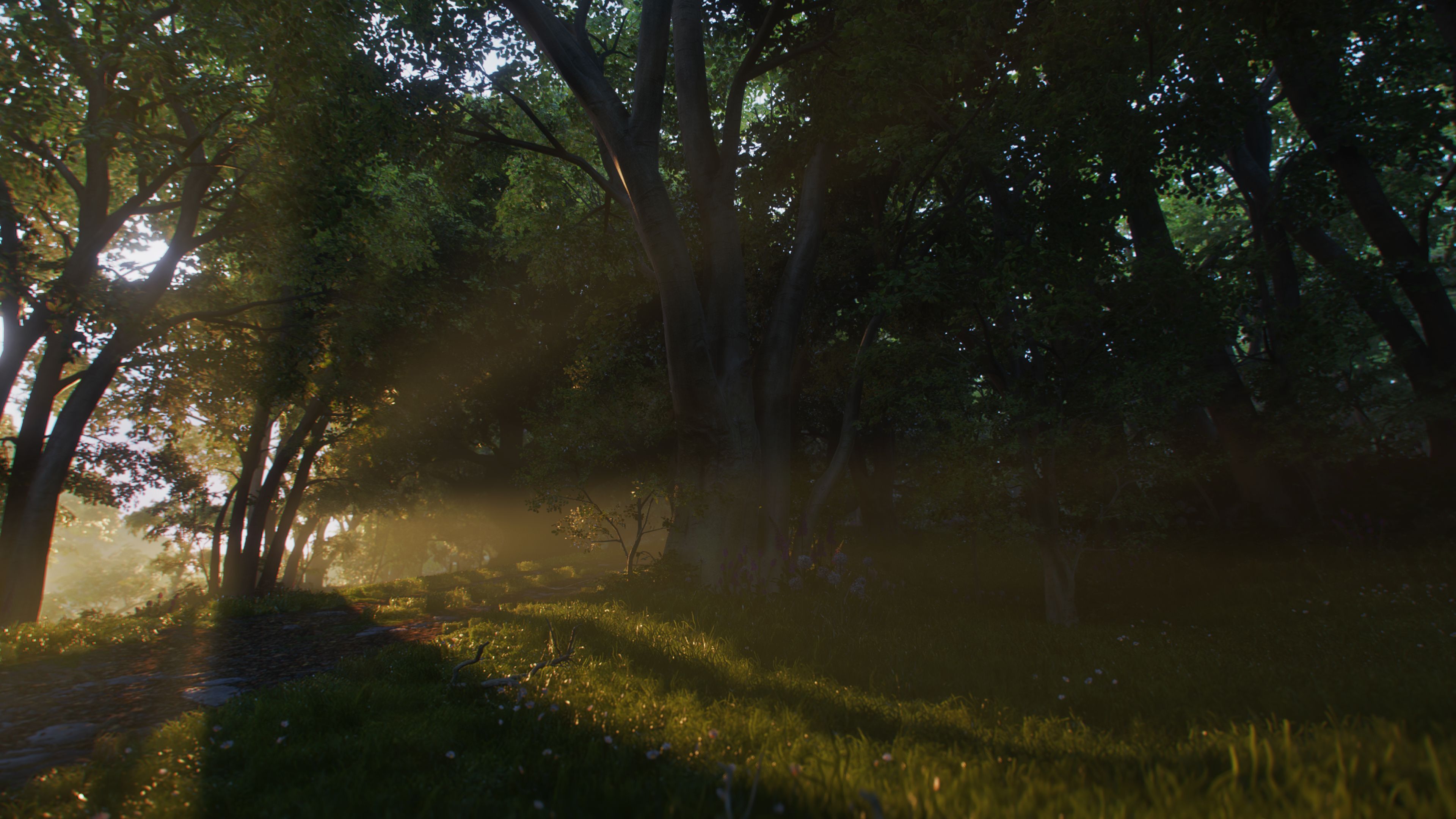 Гра Fable (Xbox Series X)фото
