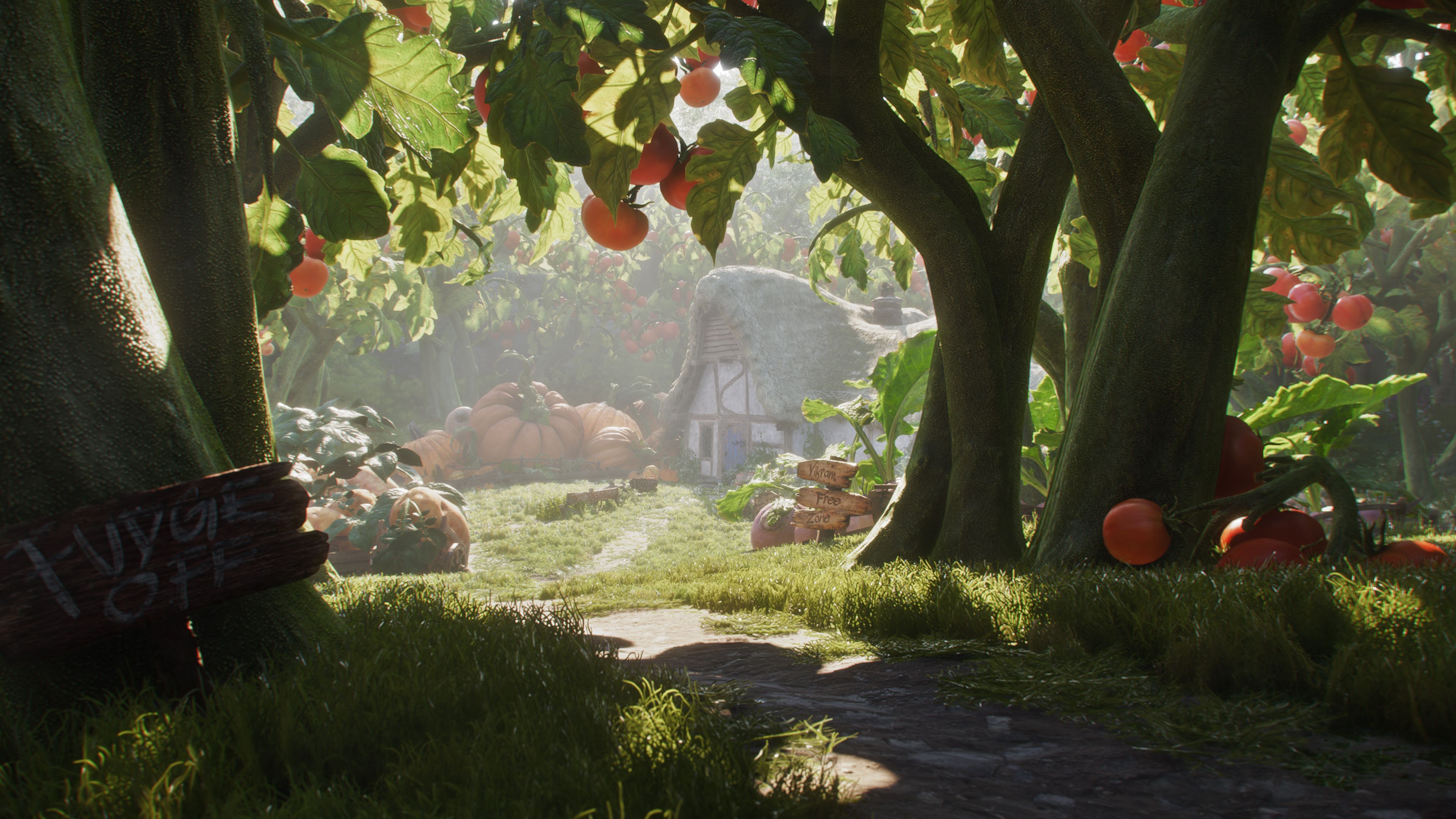 Гра Fable (Xbox Series X)фото