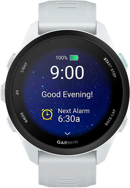 Смарт-годинник Garmin Forerunner 70 Whitestone (010-04307-01)фото
