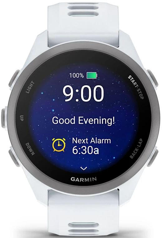 Смарт-годинник Garmin Forerunner 170 Whitestone/Cloud Blue (010-03920-01)фото