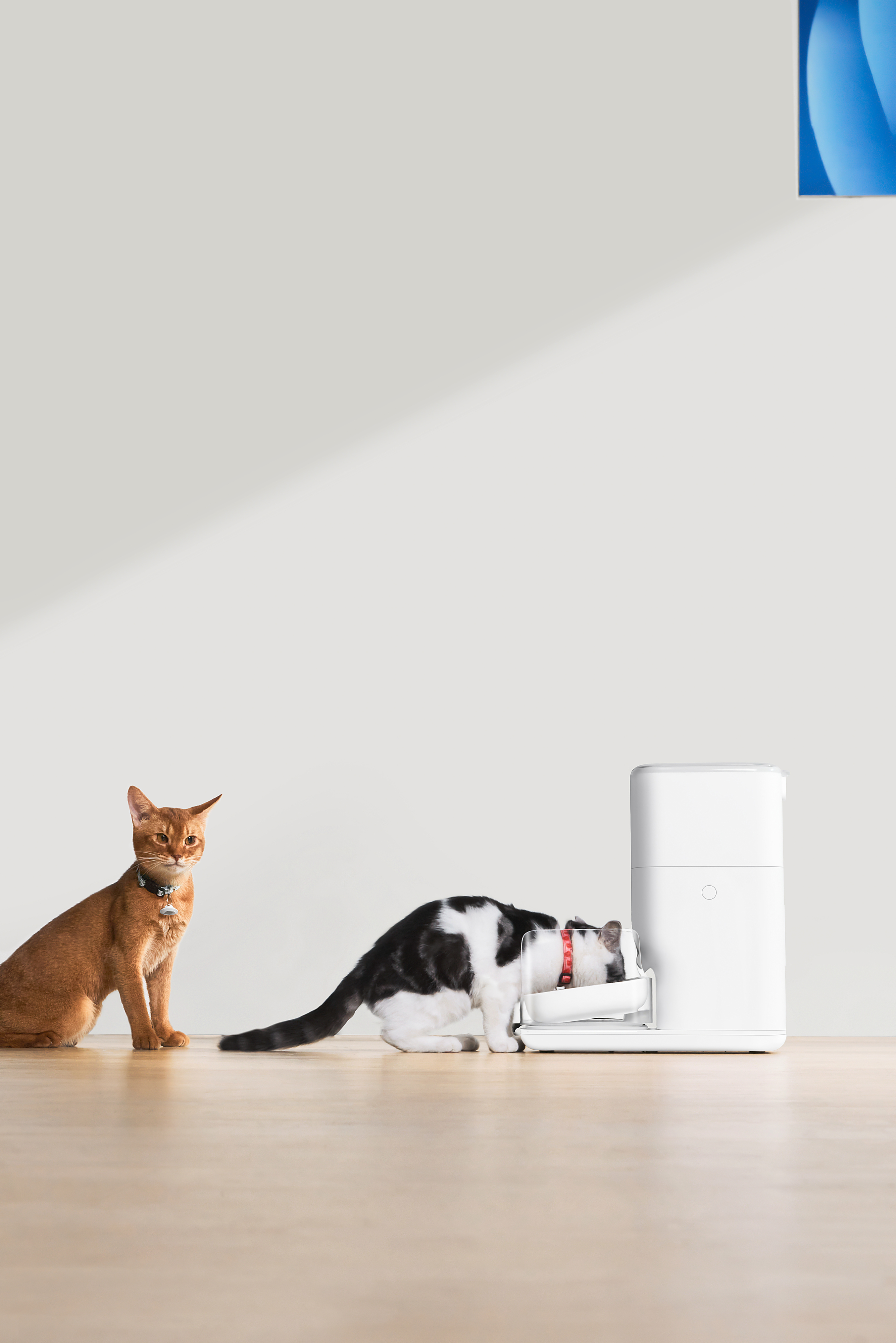 Умная автоматическая кормушка для домашних животных Catlink Automatic Feeder FRESH 2, 4л фото17