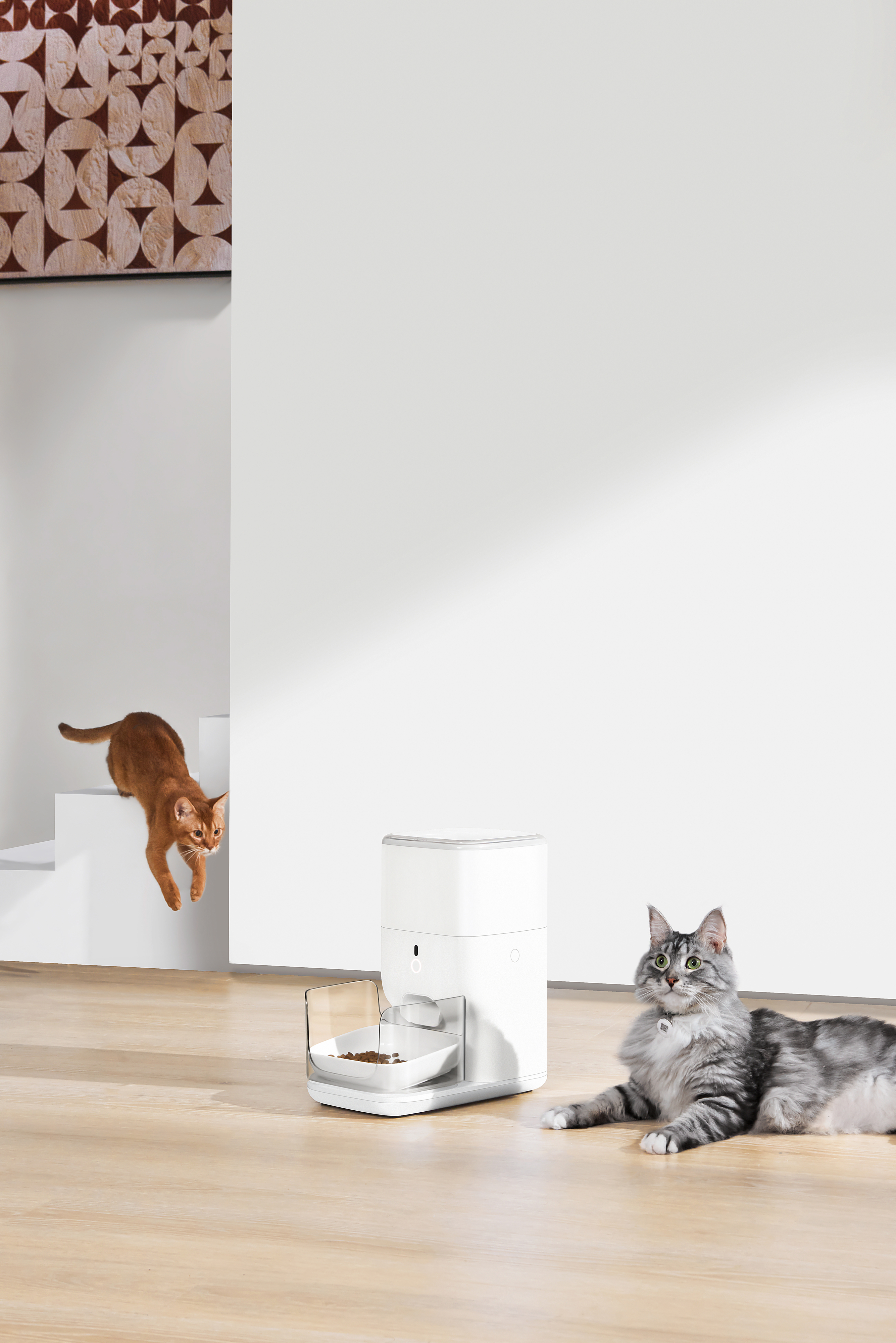 Умная автоматическая кормушка для домашних животных Catlink Automatic Feeder FRESH 2, 4л фото18