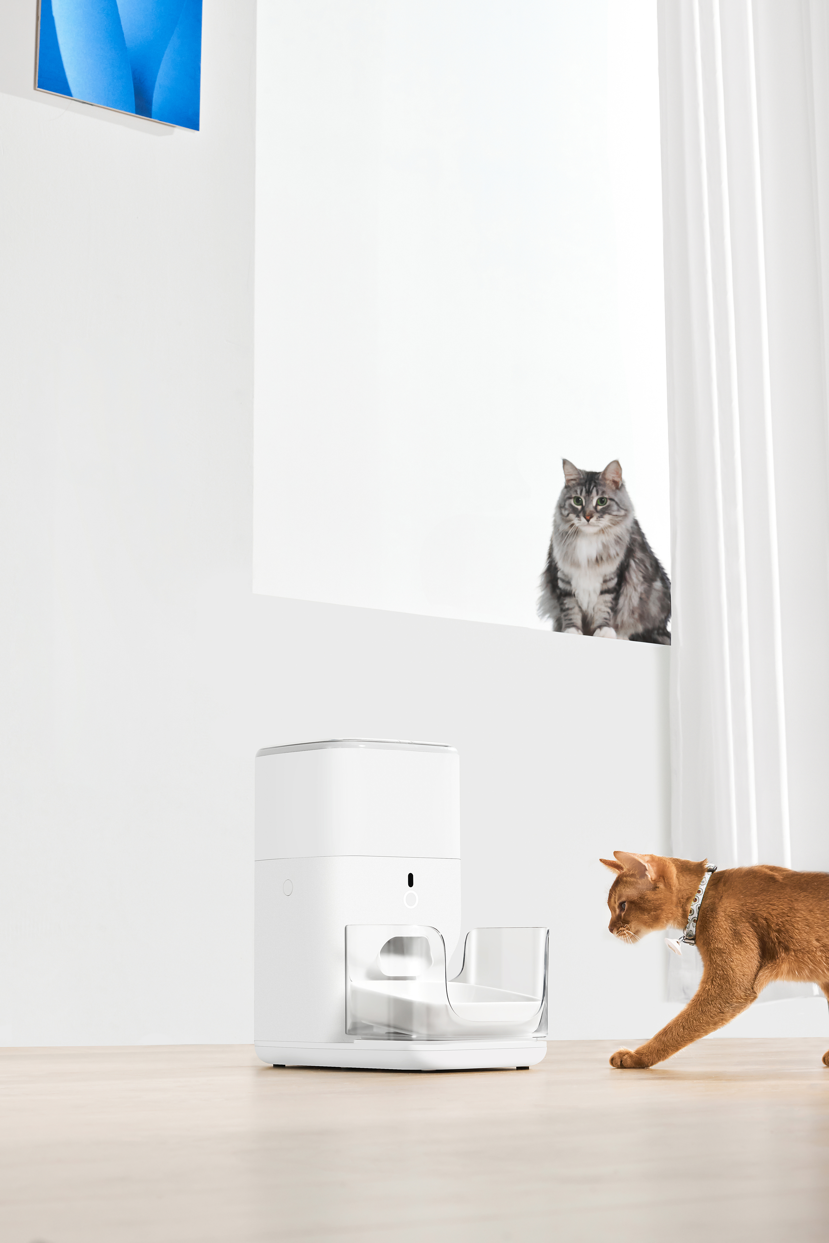 Умная автоматическая кормушка для домашних животных Catlink Automatic Feeder FRESH 2, 4л фото19